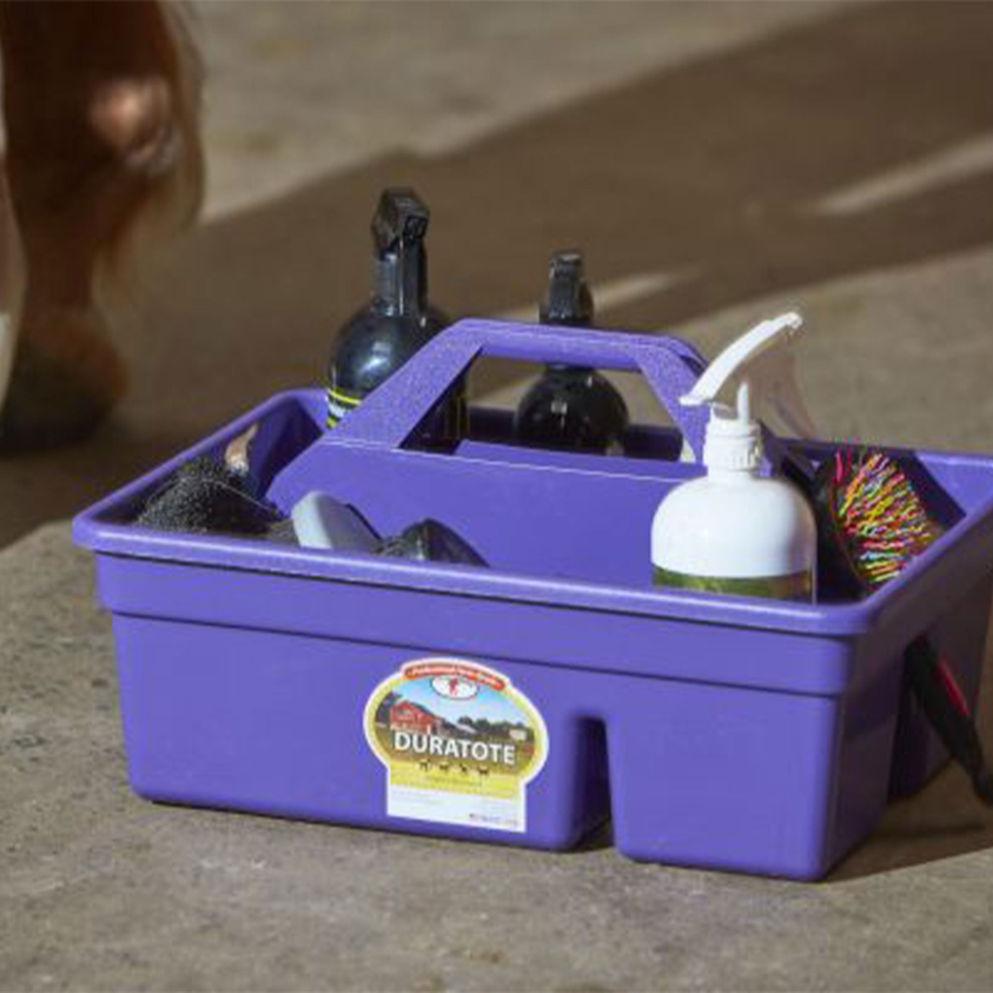 Little Giant Plastic Box Organizer w/2 Compartments & Handle, Purple (Open Box) - VMInnovations