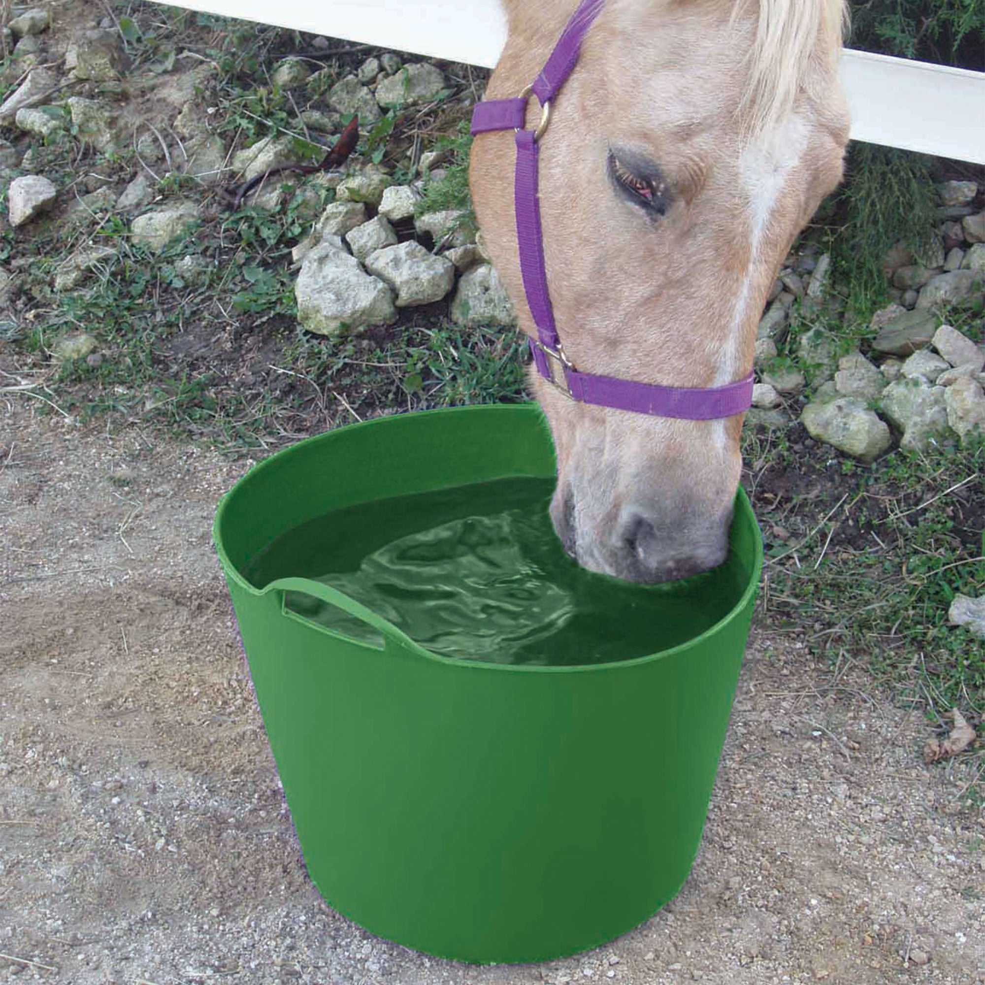 Little Giant 11 Gallon Heavy Duty Farm Bucket Poly/Rubber Flex Tub with Handles - VMInnovations