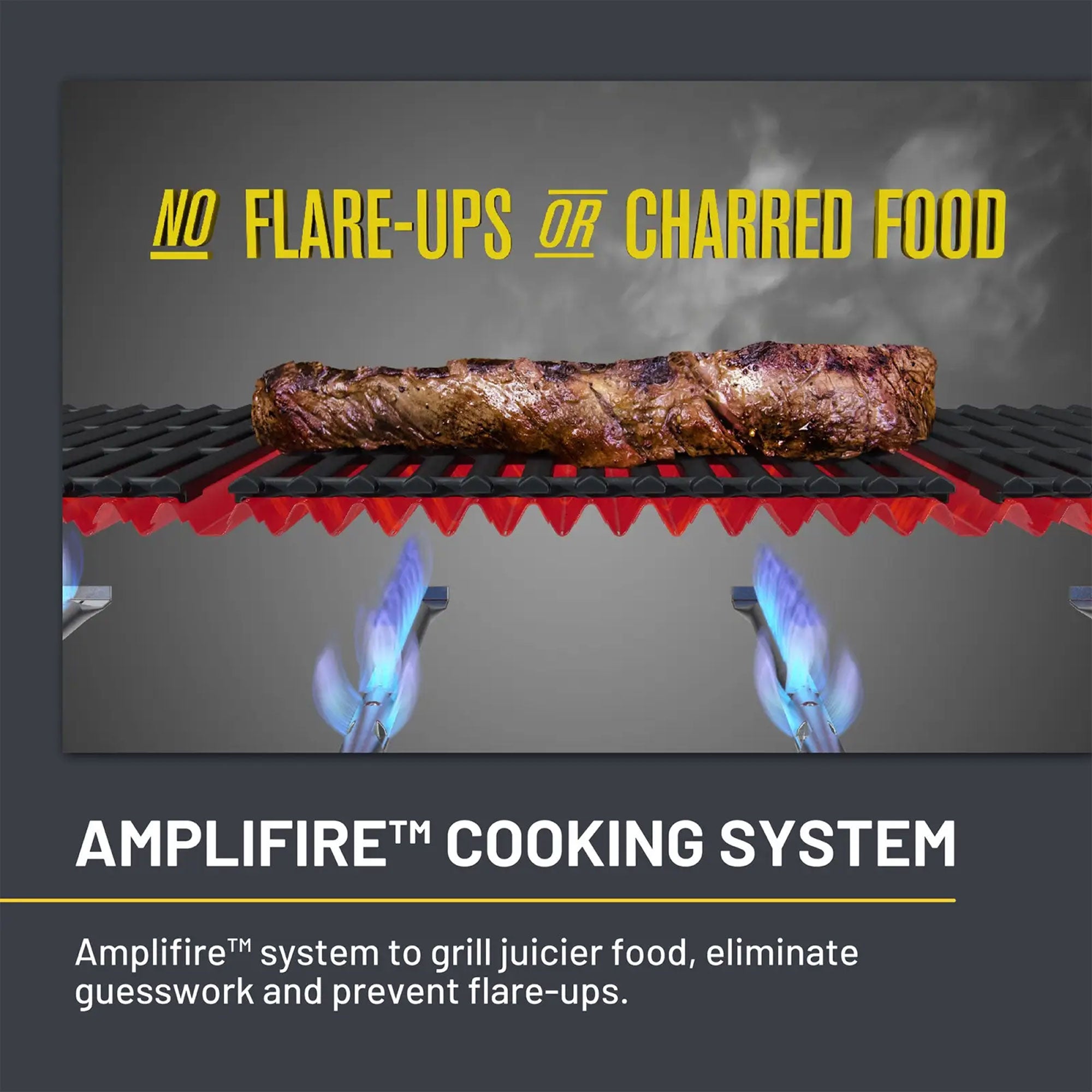 Char-Broil Performance Series Amplifire 2 Burner Gas Grill with Steel Grates - VMInnovations