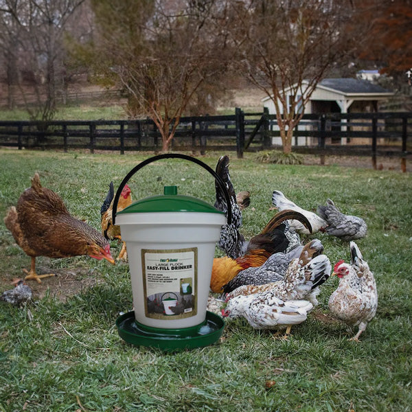 Harris Farms Poultry Drinker with Top Lid and Carrying Handle for Any Size Flock - VMInnovations