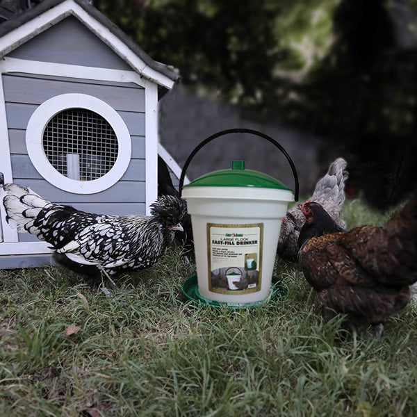 Harris Farms Poultry Drinker with Top Lid and Carrying Handle for Any Size Flock - VMInnovations