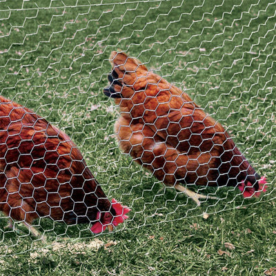 YARD GARD Galvanized Poultry Netting for Garden and Poultry Habitat Supplies