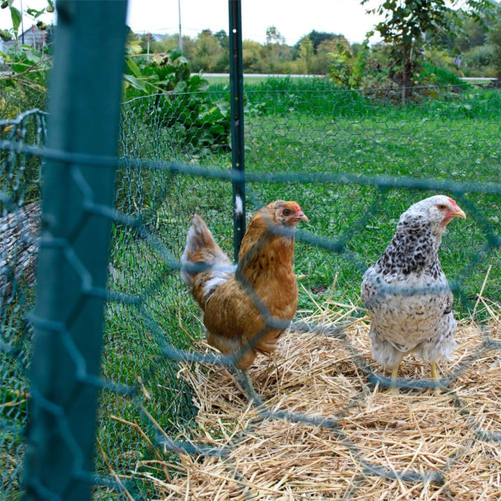 YardGard PVC Coating Hexagonal Poultry Netting for Garden Netting Essentials - VMInnovations