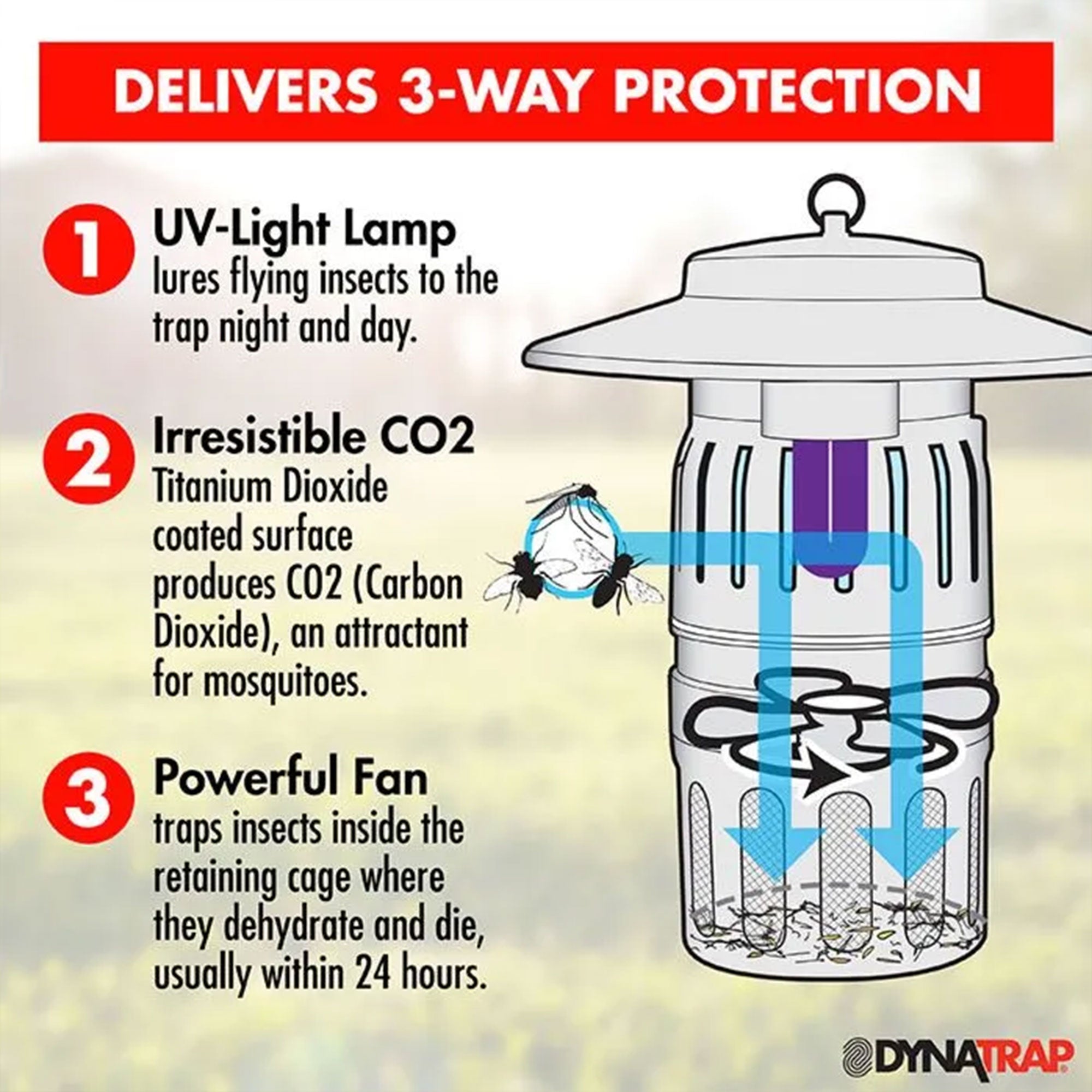 Dynatrap Smokeless Flying Insect Trap with Pole Stand and Water Tray, Black - VMInnovations
