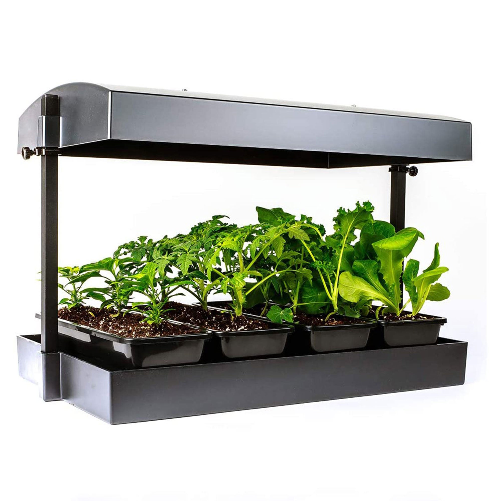 SunBlaster Grow Light Garden with Lights + GAIA GREEN All Purpose Plant Food - VMInnovations