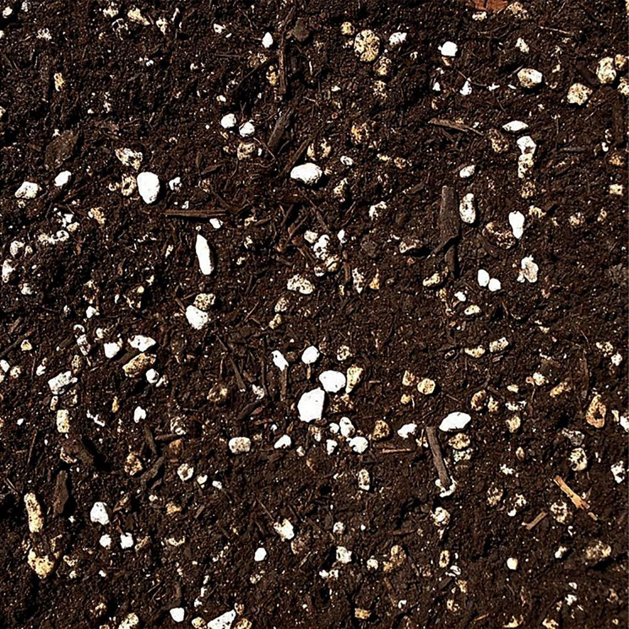 SunBlaster Light Kit + GAIA GREEN All Purpose Plant Food + Roots Organic Formula - VMInnovations