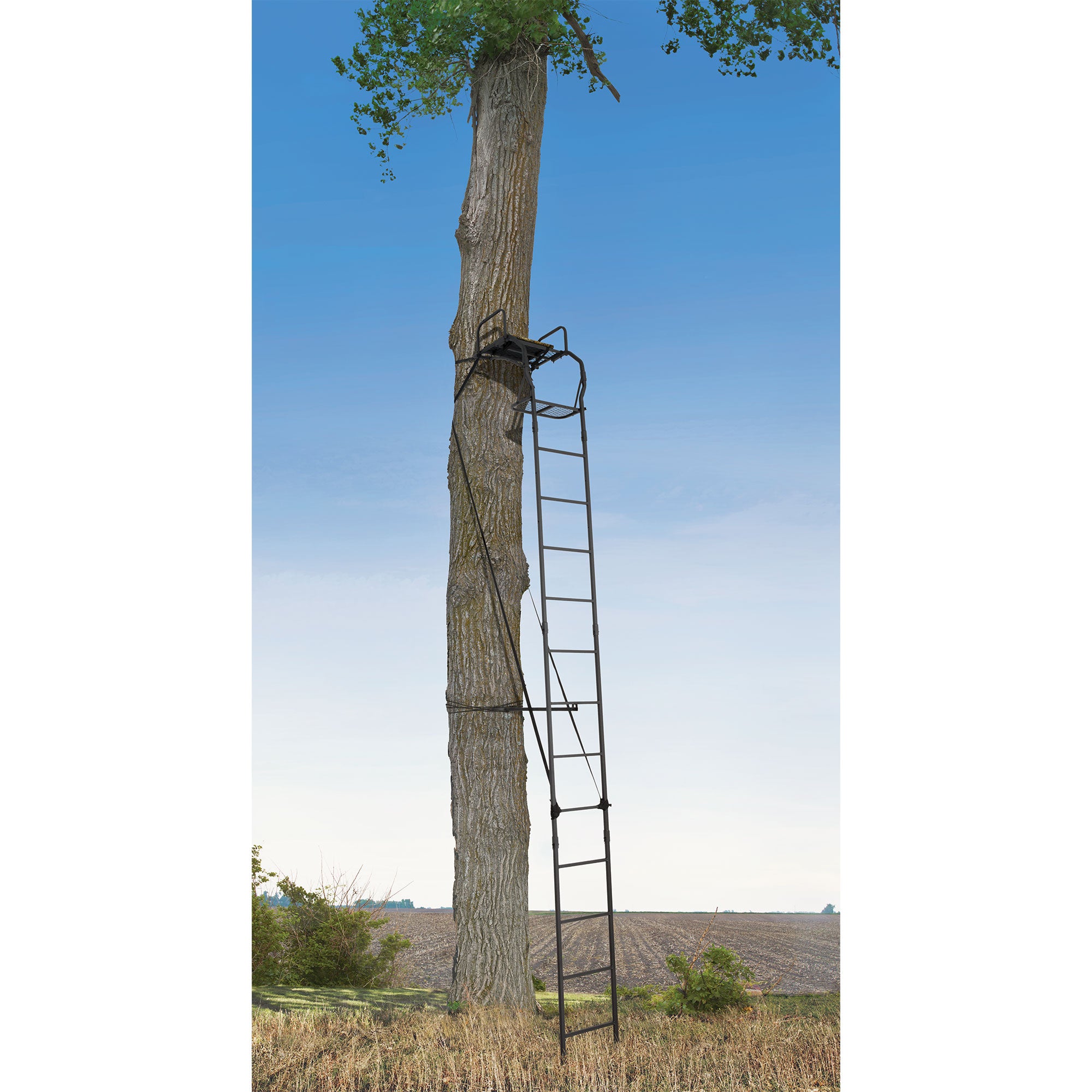 Big Game The Warrior Pro 1 Person Hunting Ladder Tree Stand, Black (Open Box) - VMInnovations
