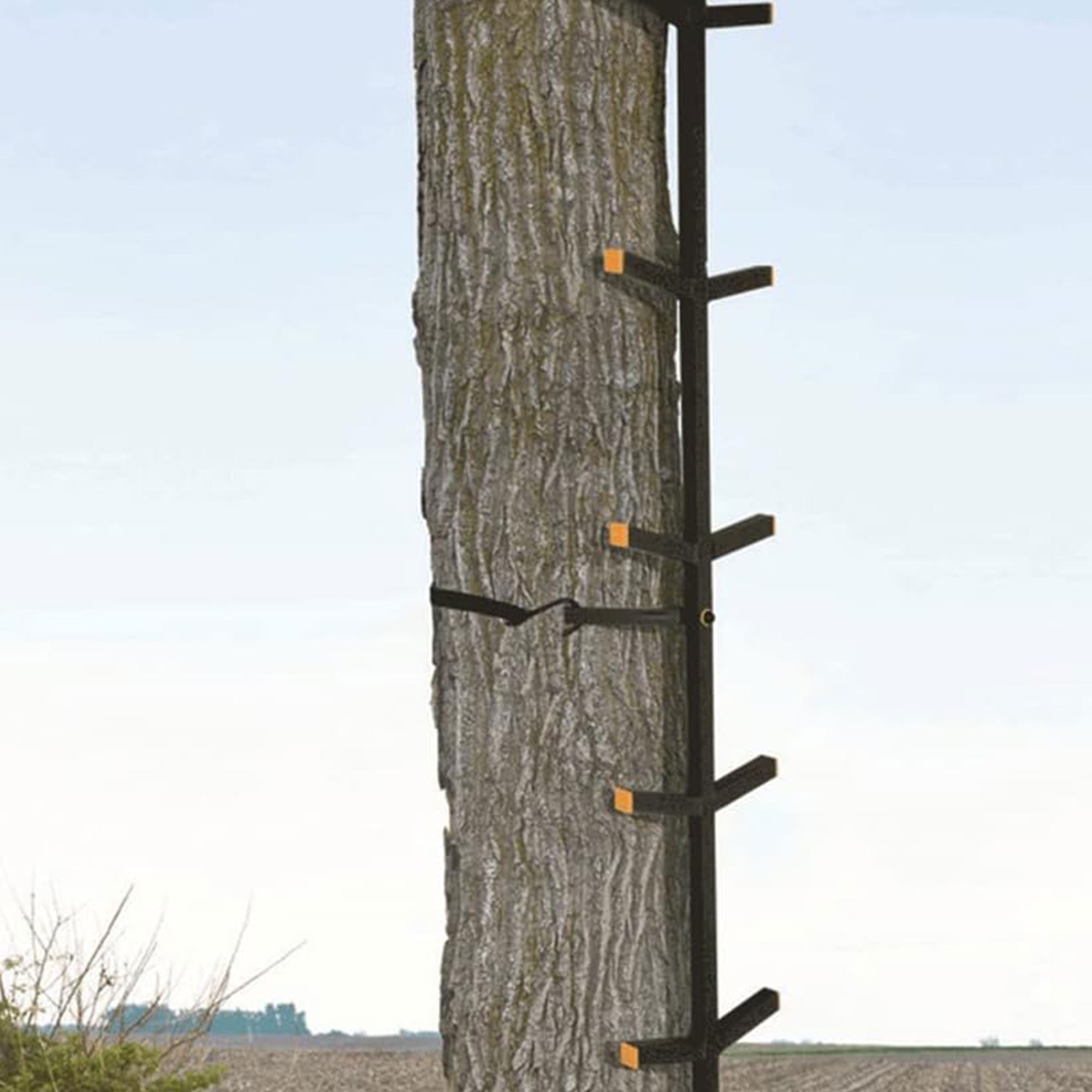 Muddy Outdoors Quick Stick XL Climbing Stick w/Powder Coated Finish, Black(Used) - VMInnovations