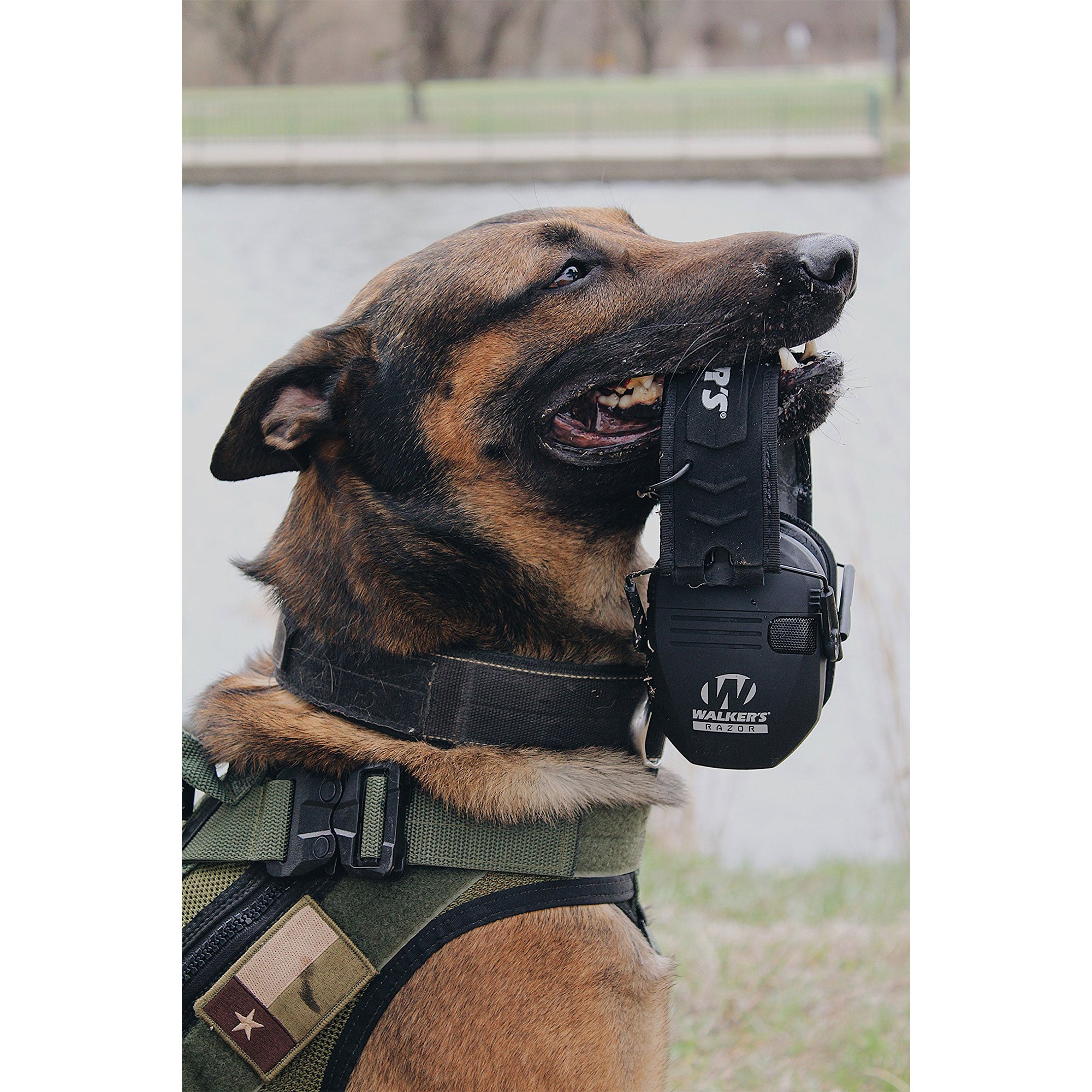 Walker's Razor Slim Shooter Hearing Protection Earmuff, Black Patriot (4 Pack) - VMInnovations