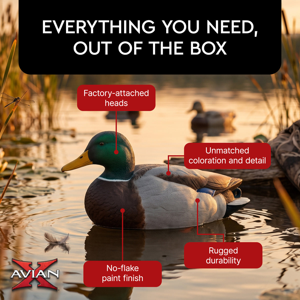 Avian X AXP Full Body Mallards Decoy, Ultra Realistic and Wind Activated, 6 Pack