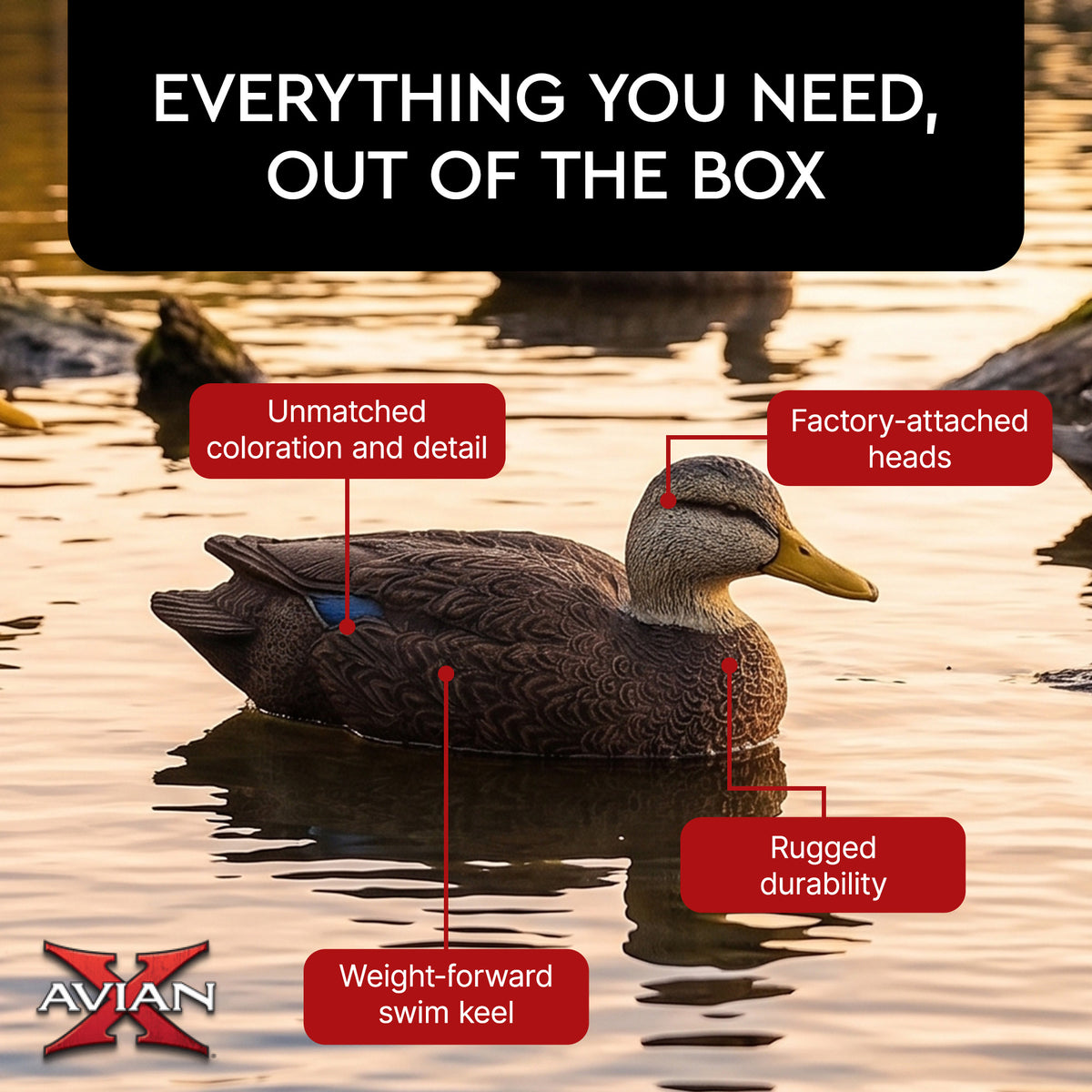Avian X Topflight Black Ducks Decoys with Flocked Bodies, Realistic Paint Scheme