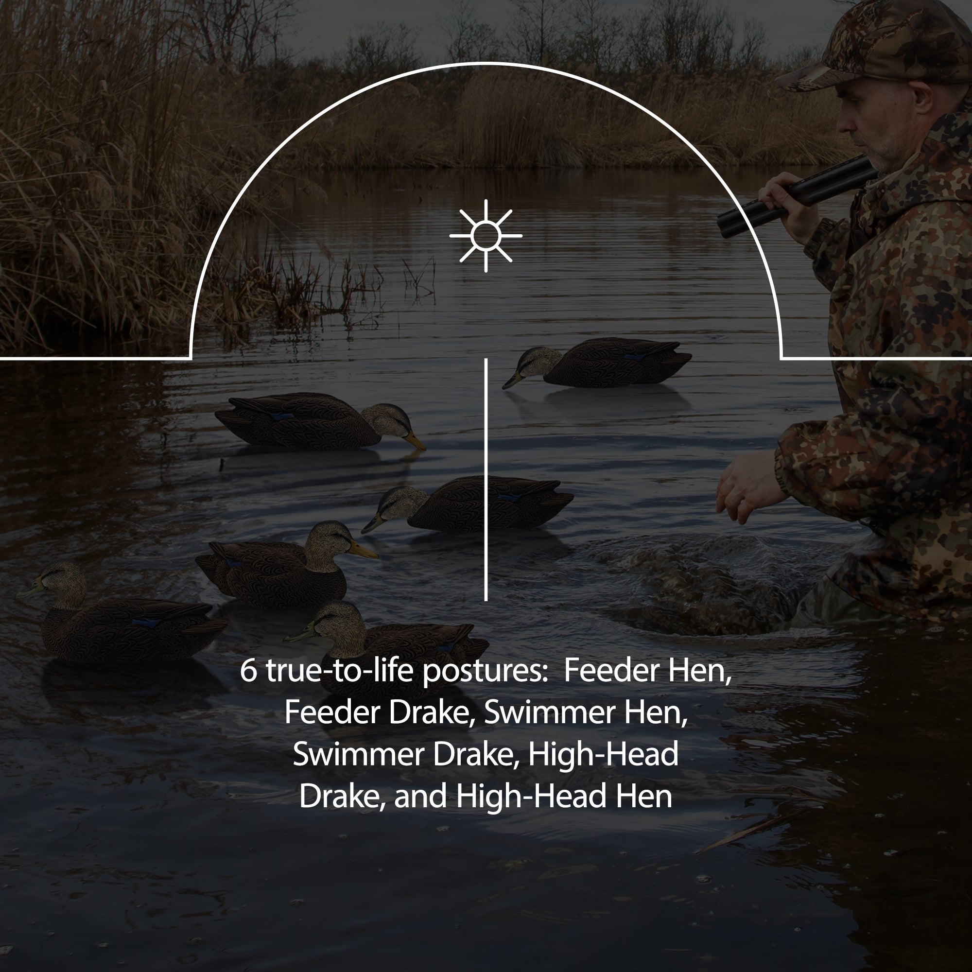 Avian X AXF Flocked Full Body Ducks Fusion Pack bundled w/Topflight Ducks Decoys