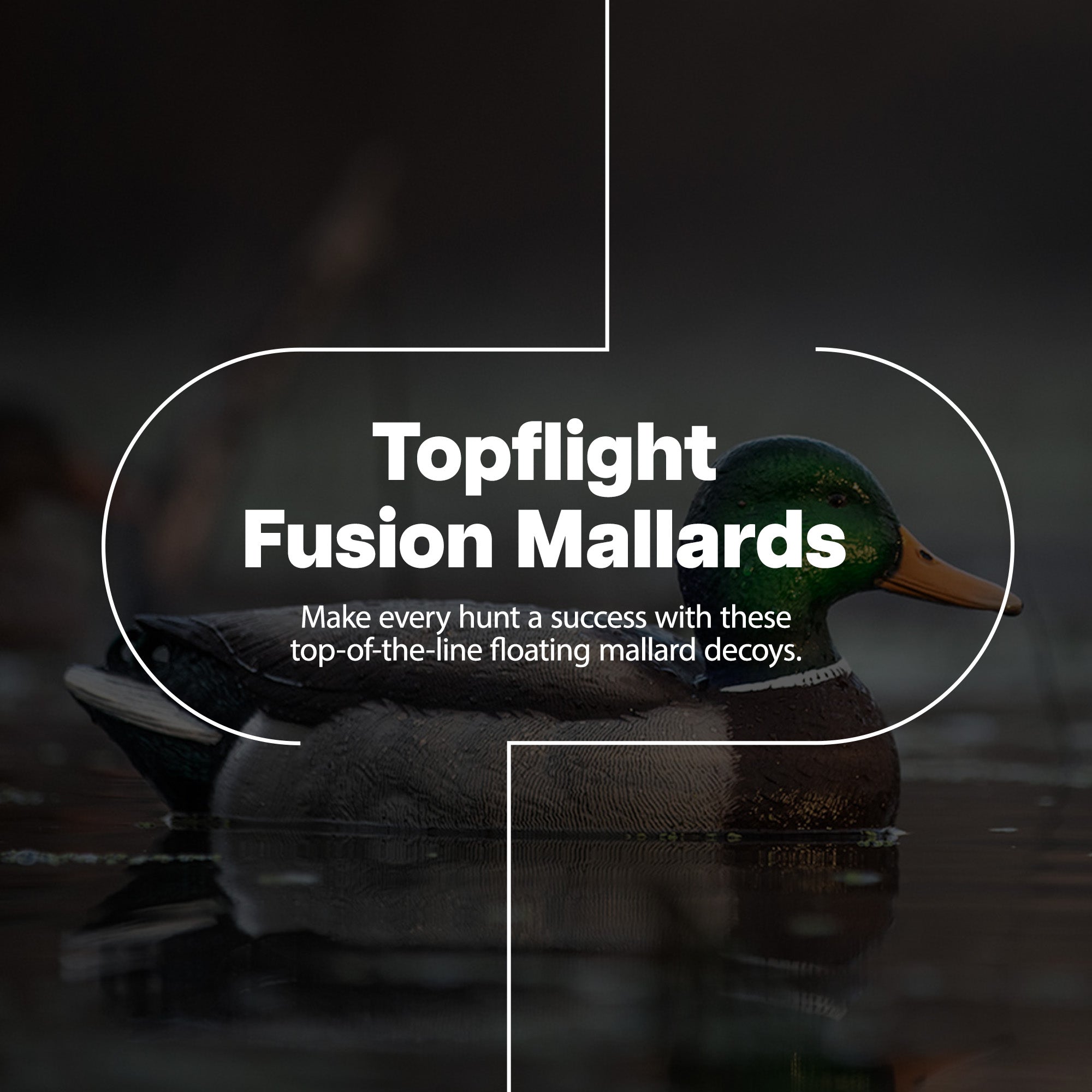 Avian X Topflight Fusion Mallards and Top Flight Open Water Mallards Decoys - VMInnovations