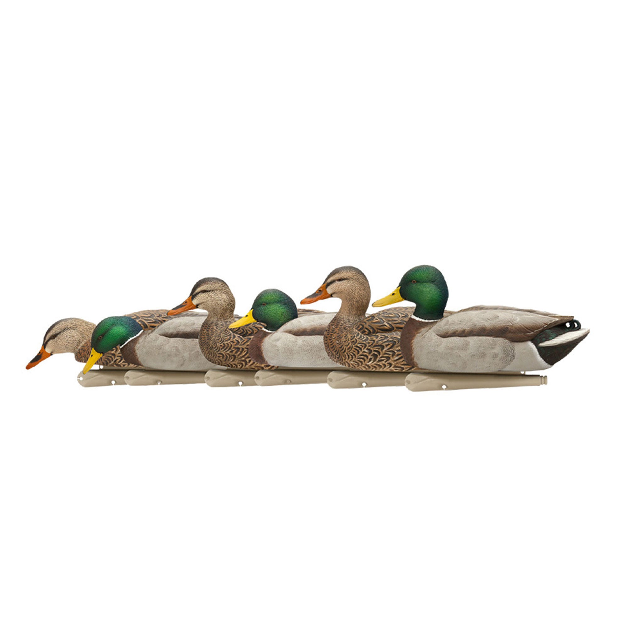 Avian X Topflight Realistic Floating Fusion Mallard Decoy Set, 6 Pack (Open Box) - VMInnovations