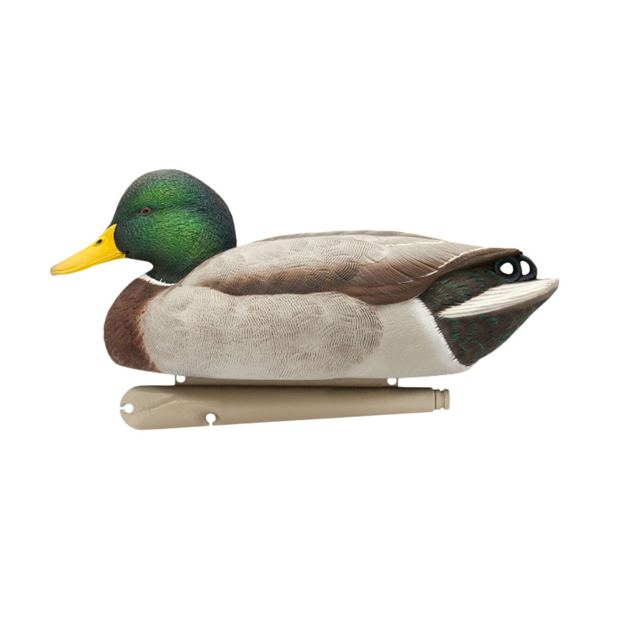 Avian X Topflight Realistic Floating Fusion Mallard Decoy Set, 6 Pack (Open Box) - VMInnovations