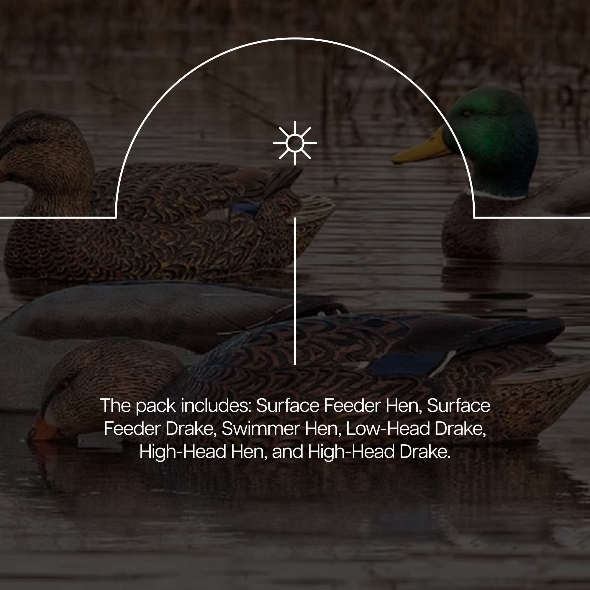 Avian X Topflight Realistic Floating Fusion Mallard Decoy Set, 6 Pack (Open Box) - VMInnovations