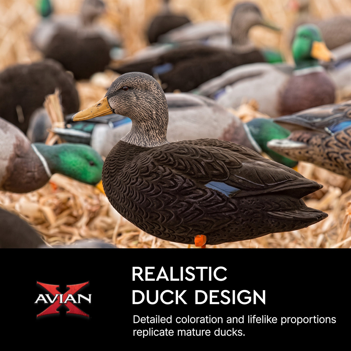 Avian X AXF Flocked Full Body Black Ducks Fusion Pack with Rugged Durability