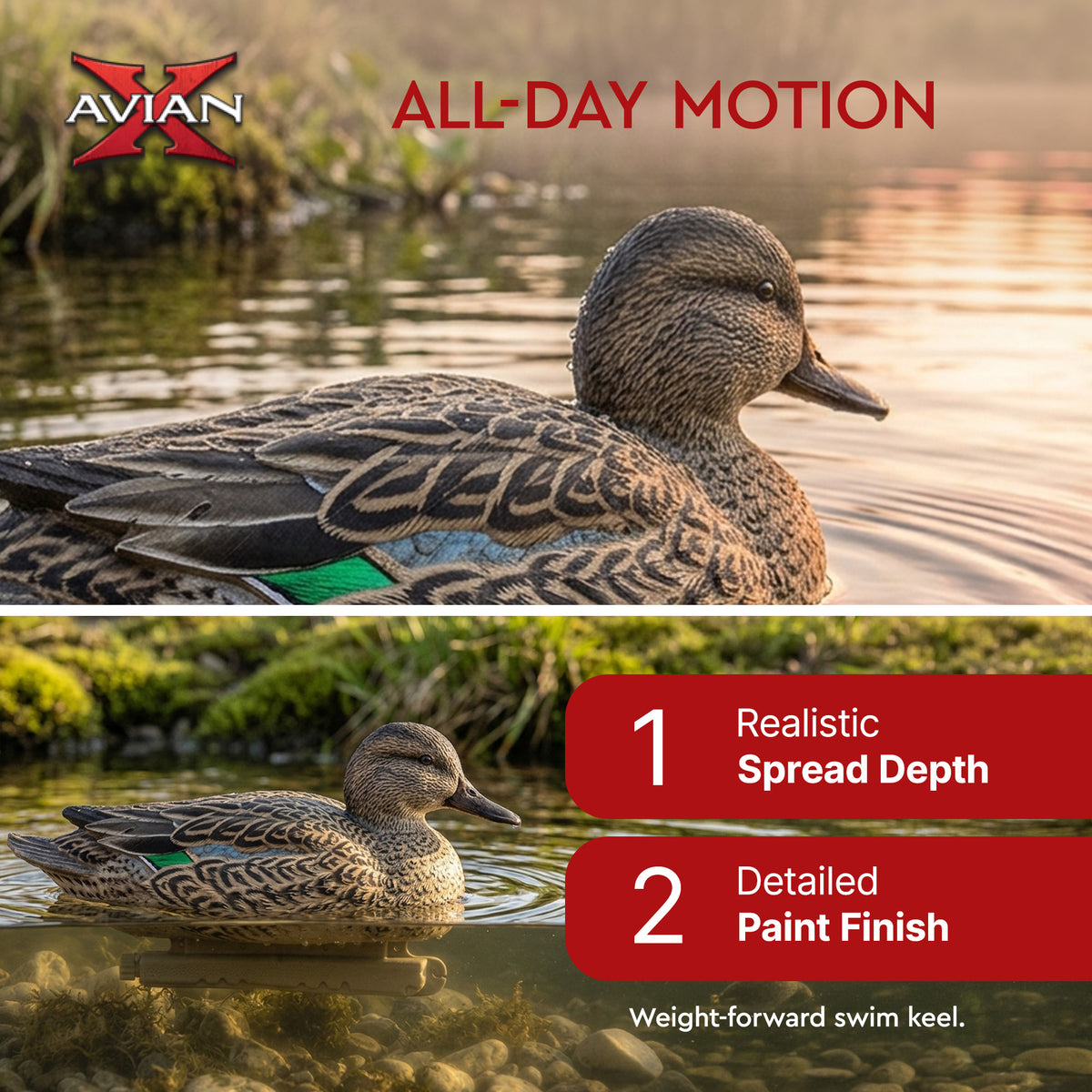 Avian X Topflight Early Season Teal with Realistic True to Life Postures, 6 Pack
