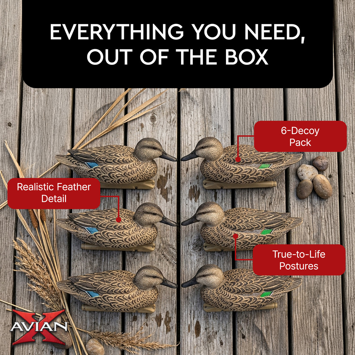 Avian X Topflight Early Season Teal with Realistic True to Life Postures, 6 Pack