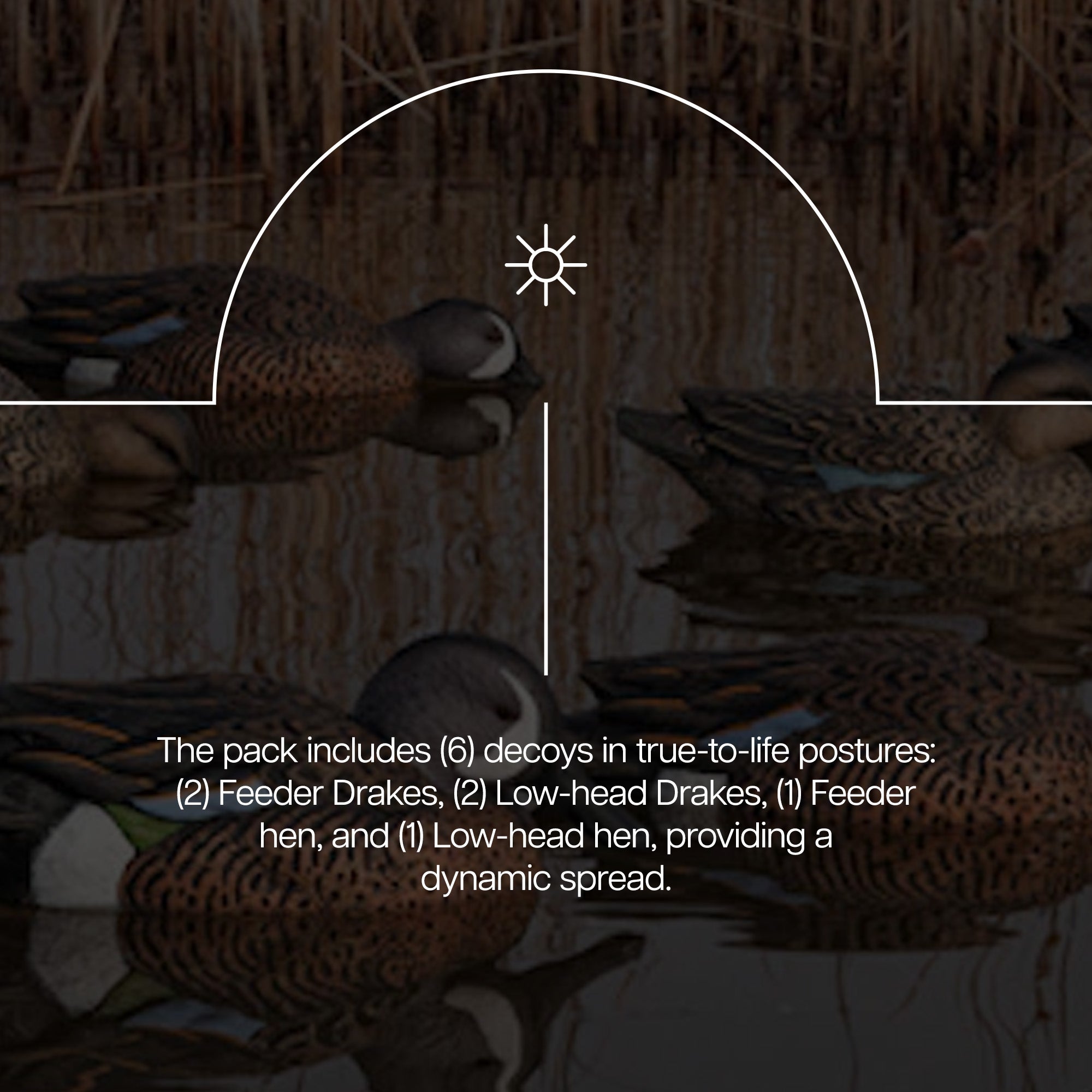 Avian X Topflight Blue-Winged Teal Duck, Realistic Floating Outdoor Duck Decoys