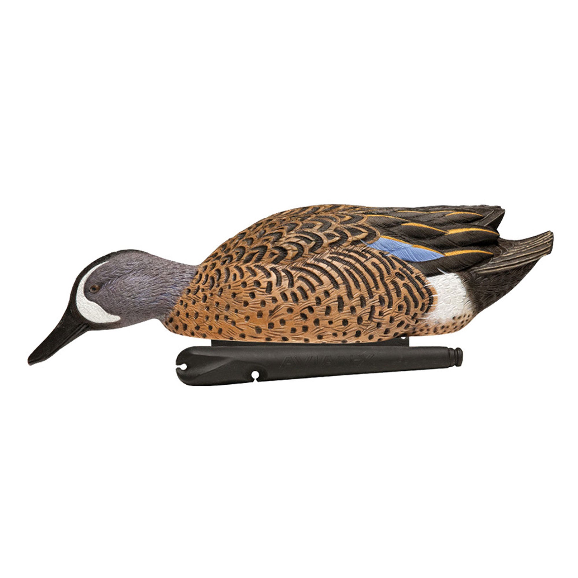Avian X Topflight Blue-Winged Teal Duck, Realistic Floating Outdoor Duck Decoys
