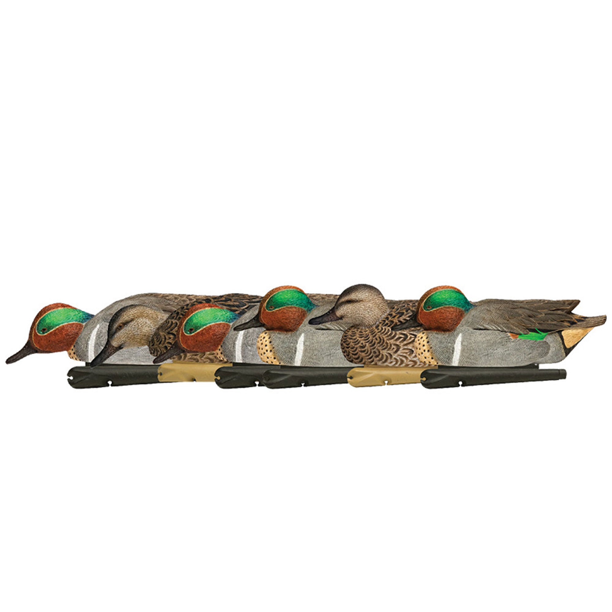 Avian X Topflight Green-Winged Teal Duck, Floating Decoys, Set of 6, Multicolor - VMInnovations