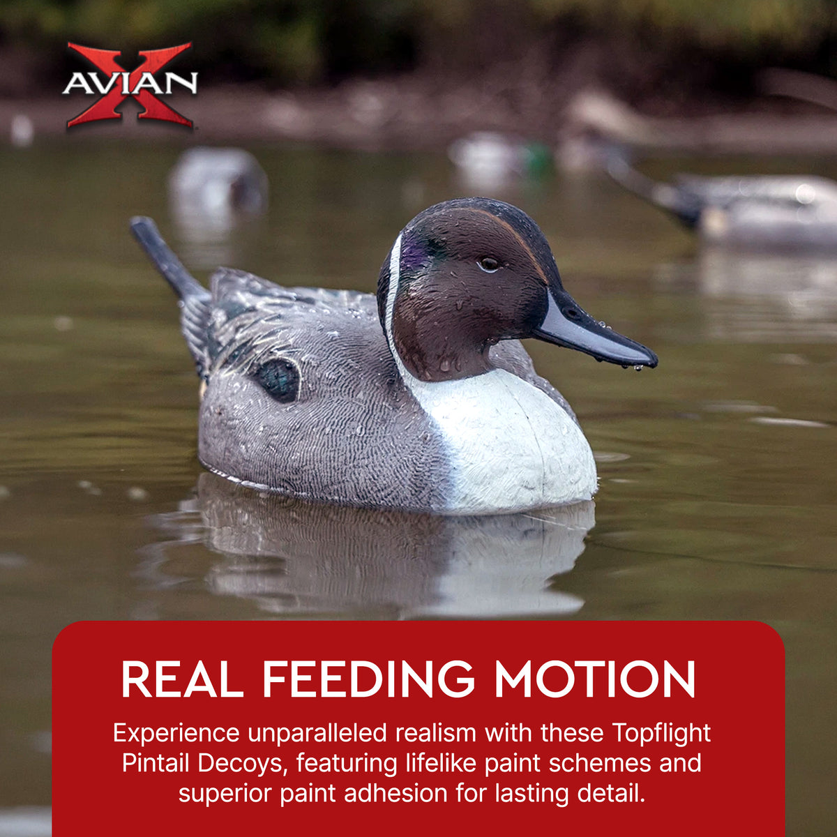 Avian X Topflight Pintails,Realistic Floating Decoys, 6 CT, Multicolor(Open Box) - VMInnovations