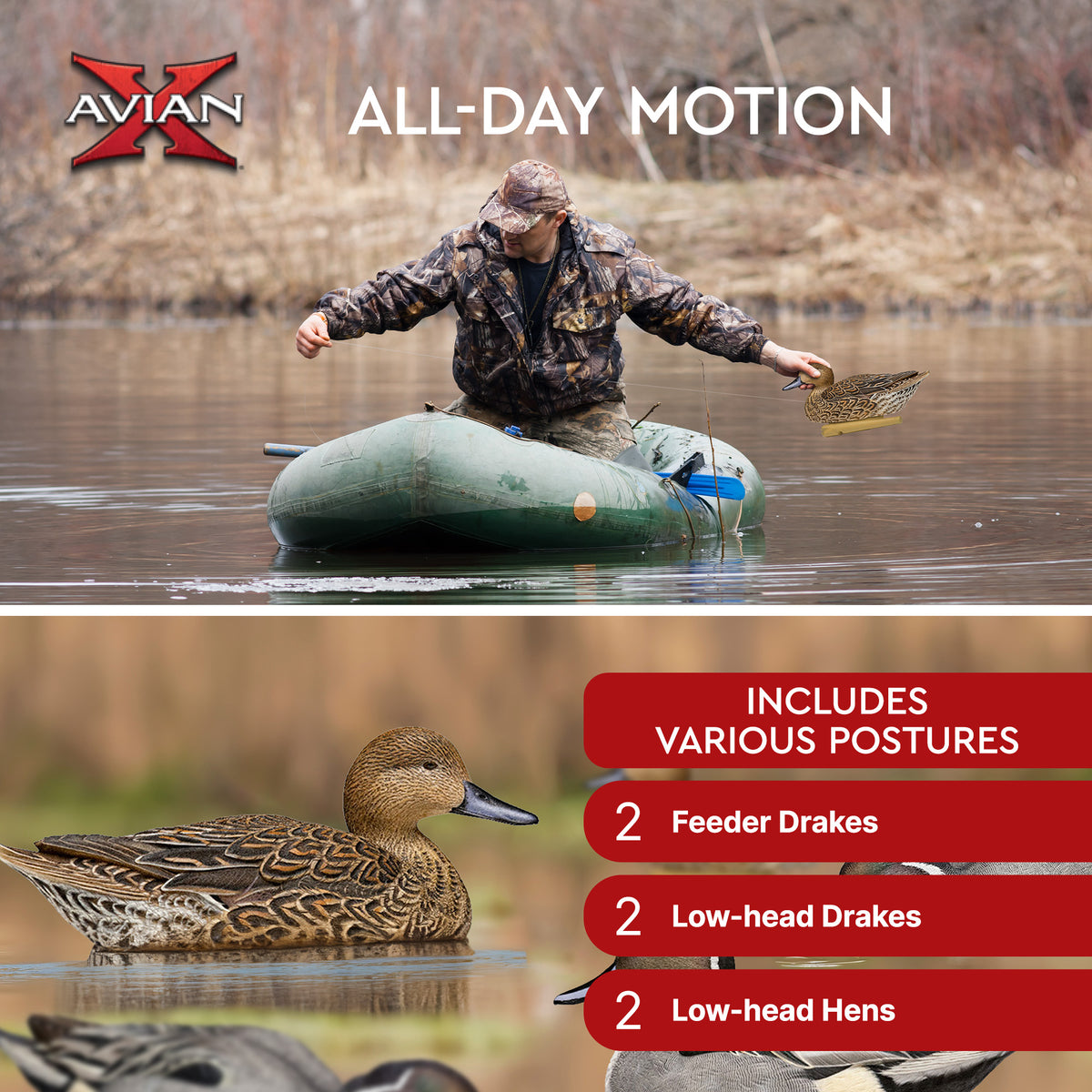 Avian X Topflight Pintails,Realistic Floating Decoys, 6 CT, Multicolor(Open Box) - VMInnovations
