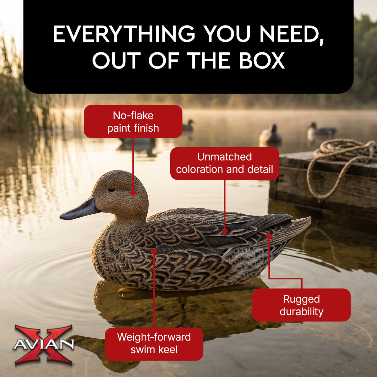 Avian X Topflight Pintails,Realistic Floating Decoys, 6 CT, Multicolor(Open Box) - VMInnovations
