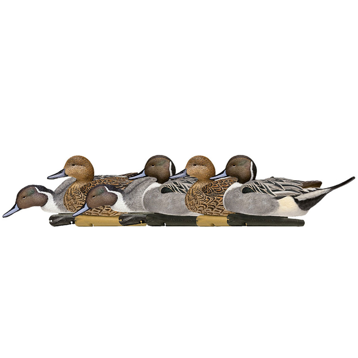 Avian X Topflight Pintails,Realistic Floating Decoys, 6 CT, Multicolor(Open Box) - VMInnovations