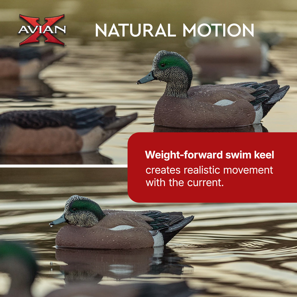 Avian X Topflight Wigeons, Rugged Realistic Floating Decoys, 6 Pack (Open Box) - VMInnovations
