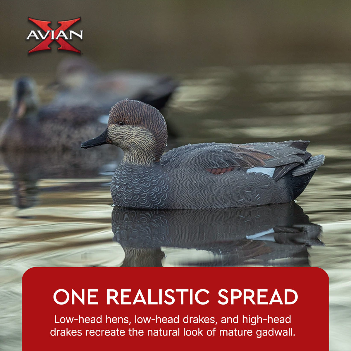 Avian X Topflight Gadwall Decoys Realistic Gray Ducks, Set of 6, Multicolor