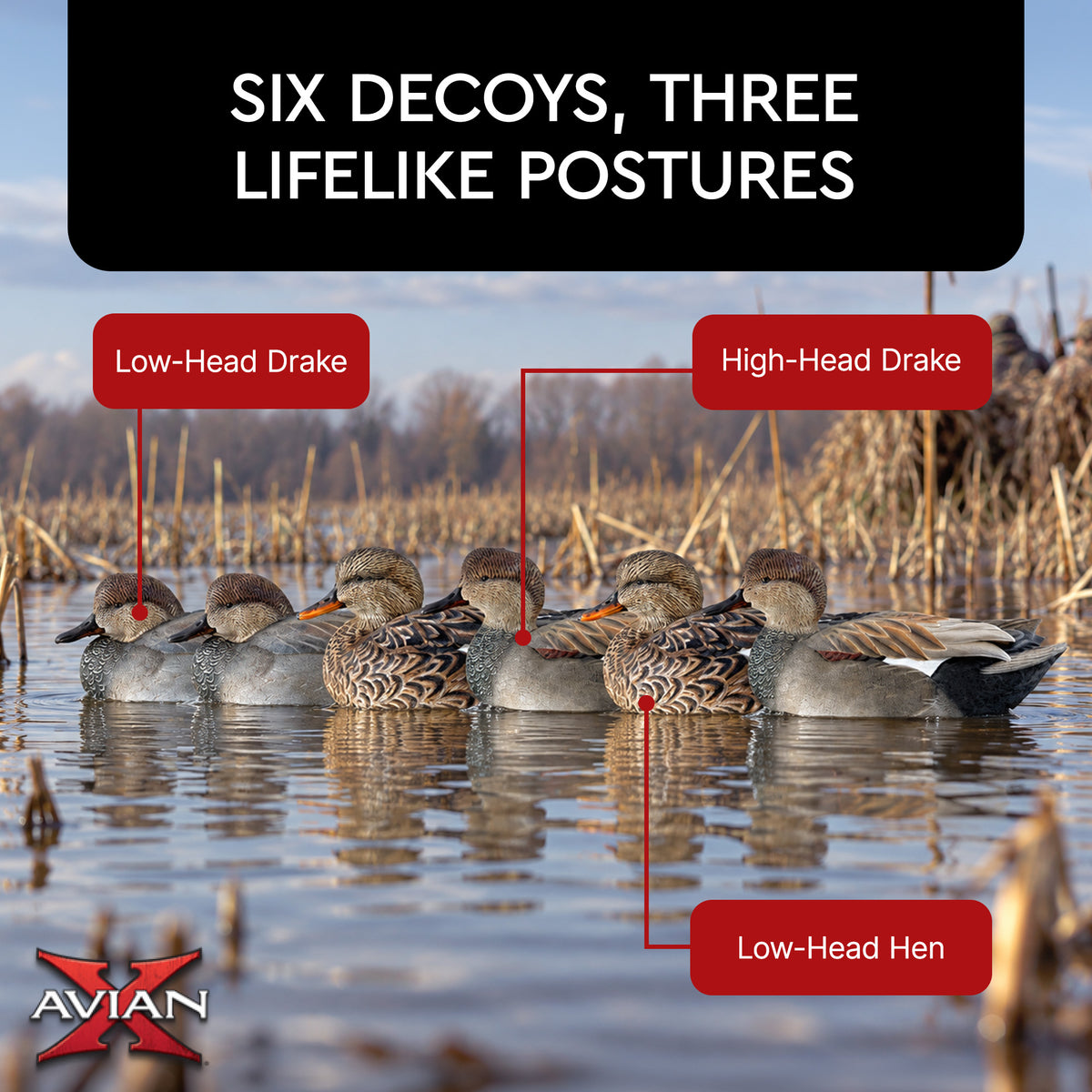 Avian X Topflight Gadwall Decoys Realistic Gray Ducks, 6pk,Multicolor(Open Box) - VMInnovations