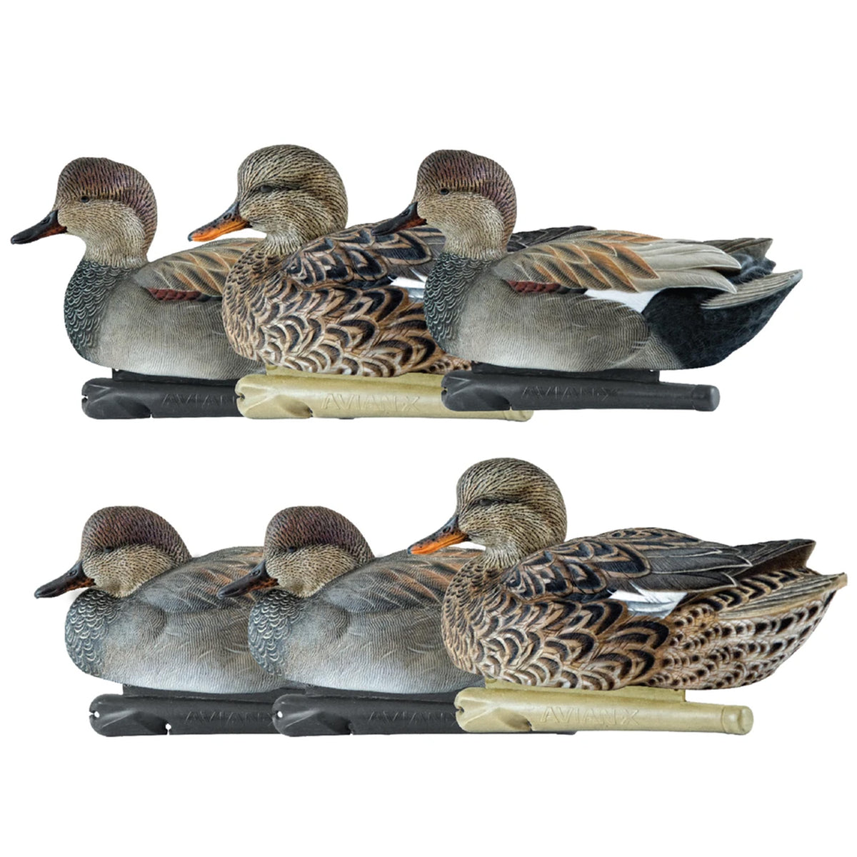 Avian X Topflight Gadwall Decoys Realistic Gray Ducks, 6pk,Multicolor(Open Box) - VMInnovations
