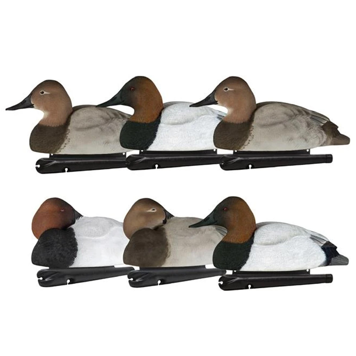 Avian X Topflight Canvasbacks Decoys Realistic Gray Duck, Set of 6, Multicolor