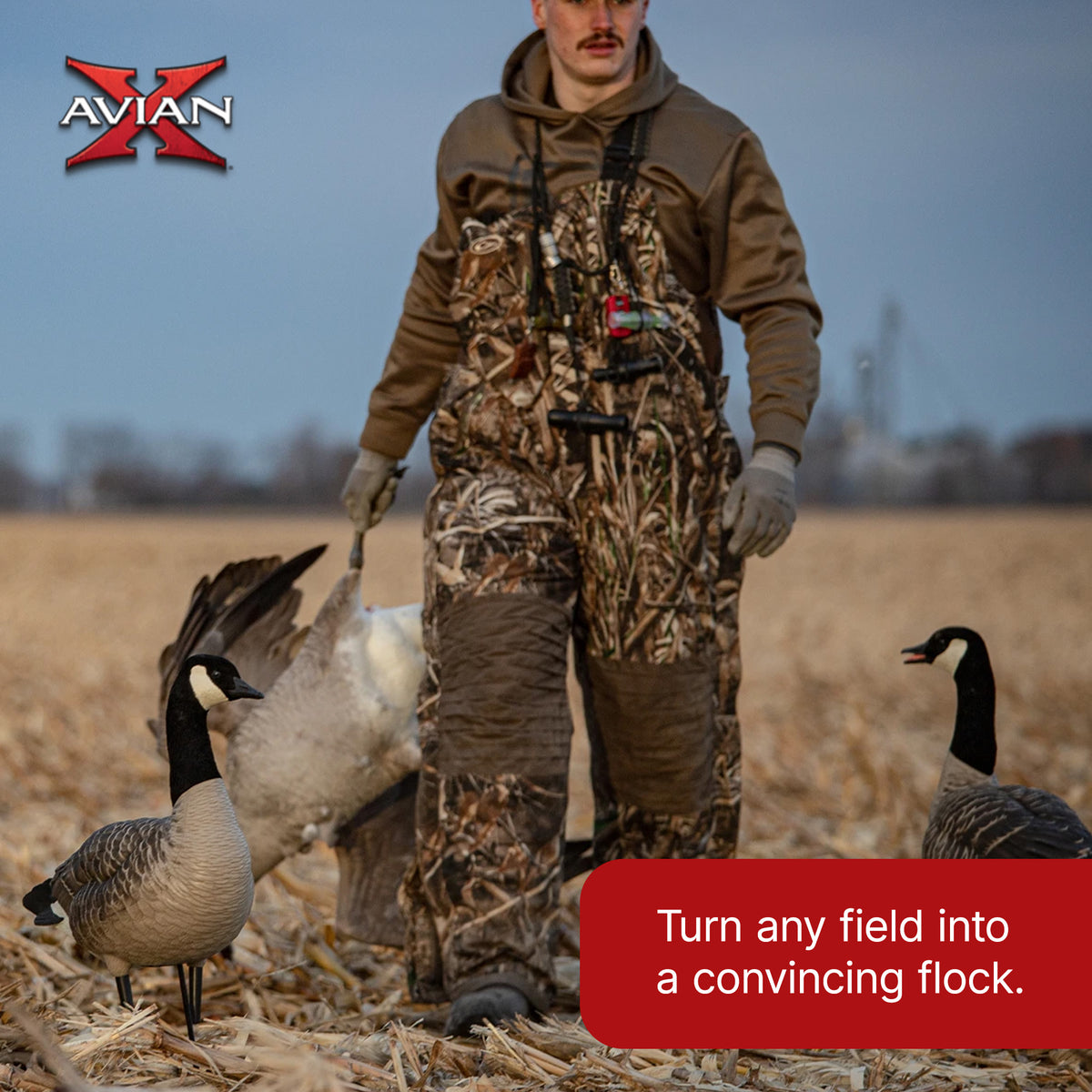 Avian X AXP Honkers Full Body Realistic Paint Canada Goose Decoys Fusion Pack