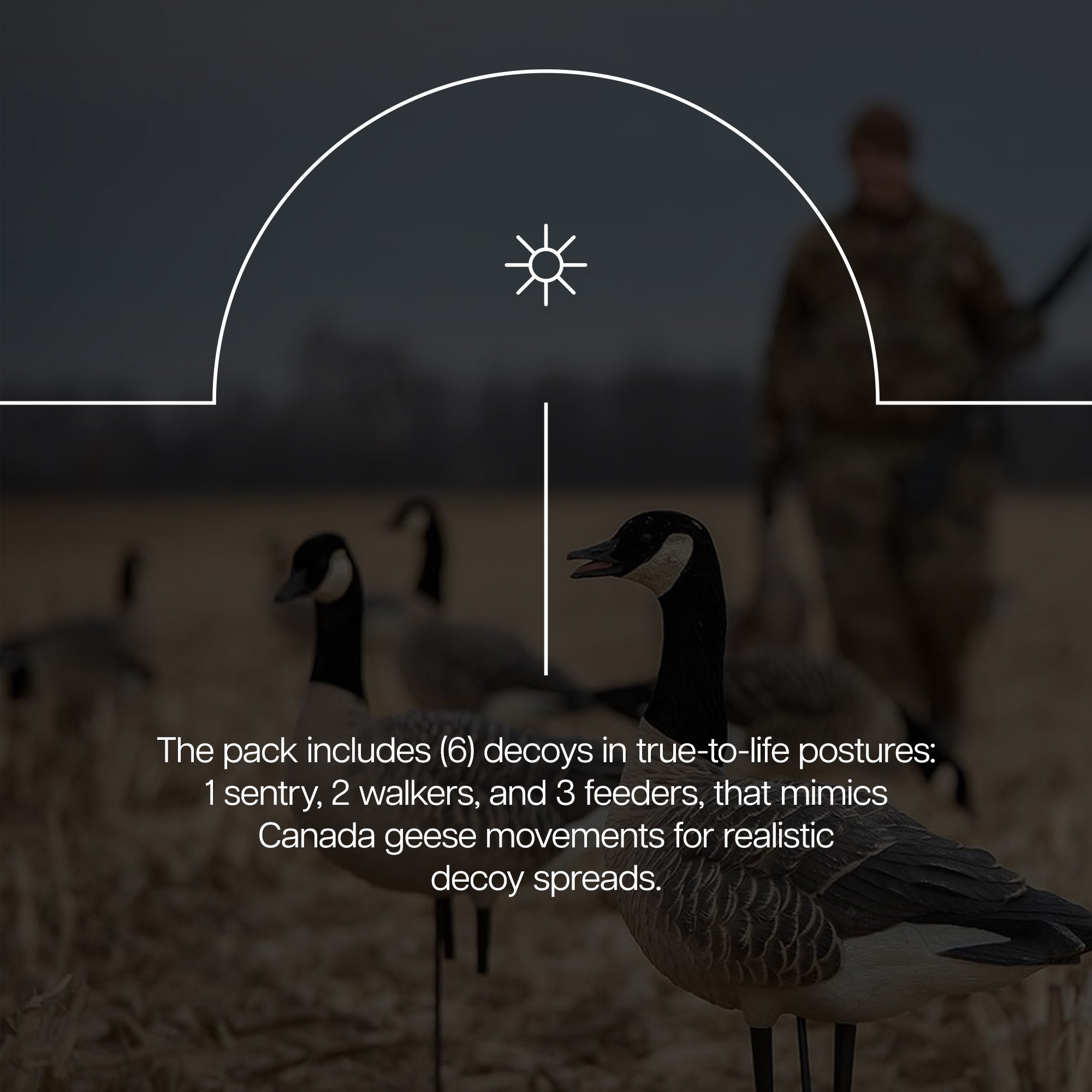 Avian X AXP Honkers Full Body Realistic Paint Canada Goose Decoys (Open Box)