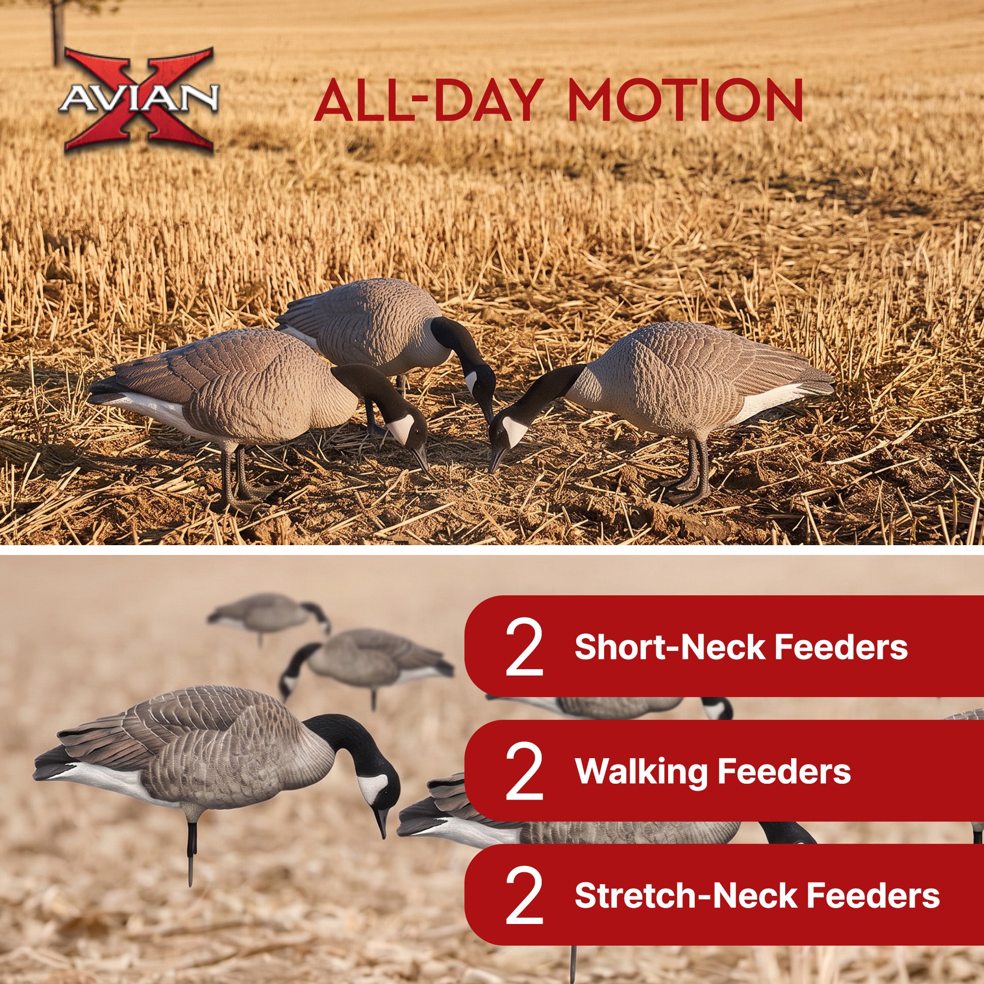 Avian X AXP Honkers Full Body Realistic Paint Canada Goose Decoys Feeder Pack