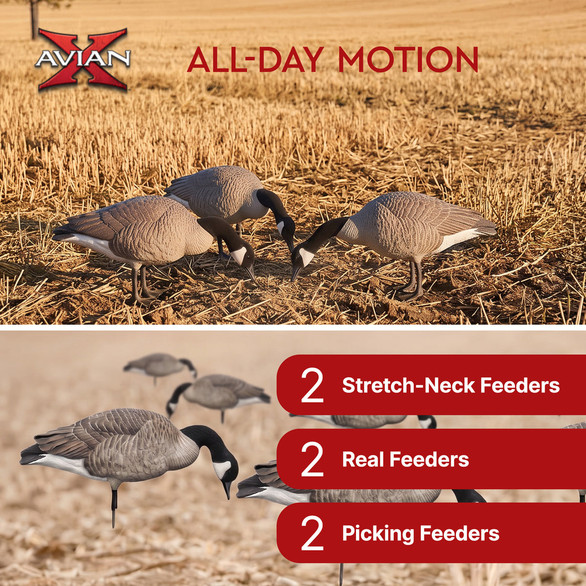 Avian X AXP Honkers Fusion Canada Goose Decoy Realistic Feeder Bodies, Set of 6