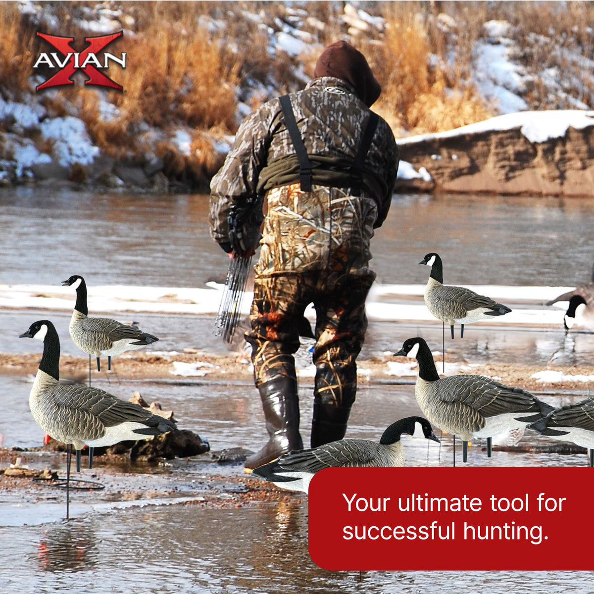 Avian X AXP Honkers Fusion Pack Lesser Canada Goose Decoys & Included Bag, Multi