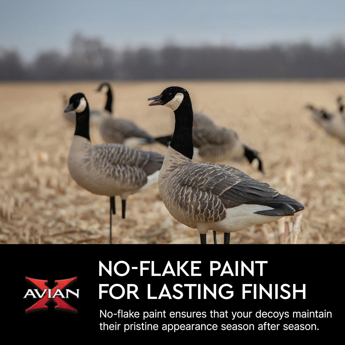 Avian X AXP Lessers Outfitter Pack, 12 Full Body Canada Goose Decoys with Bag