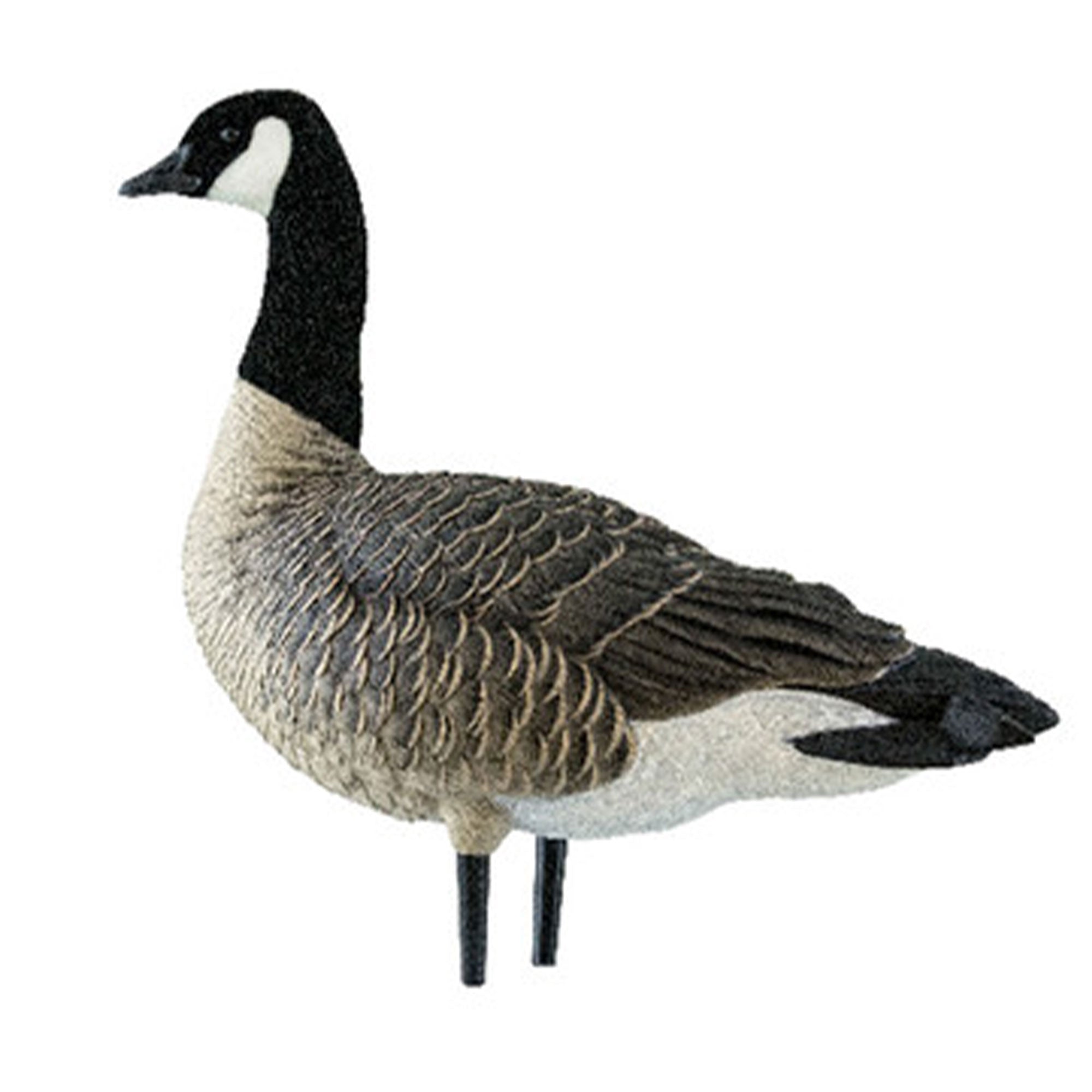 Avian X AXP Lessers Outfitter Pack, 12 Full Body Canada Goose Decoys with Bag