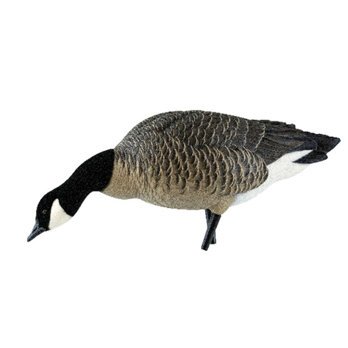 Avian X AXP Lessers Outfitter Pack, 12 Full Body Canada Goose Decoys with Bag