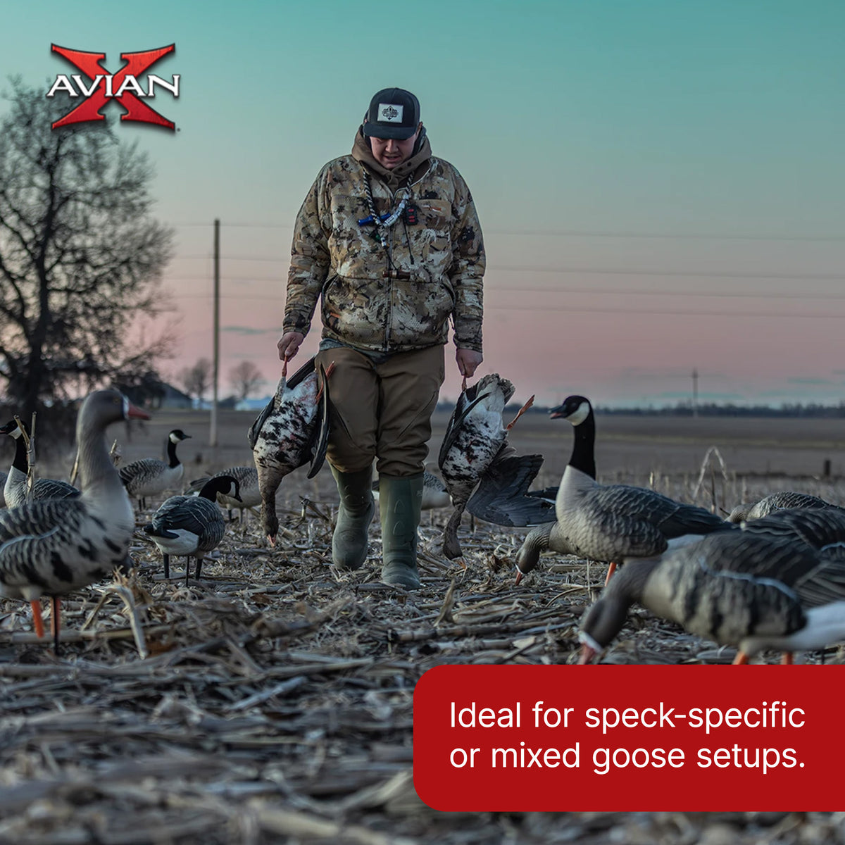 Avian X AXP Specklebelly Decoy Fusion Pack with Lasting Finish and Bag, 6 Pack