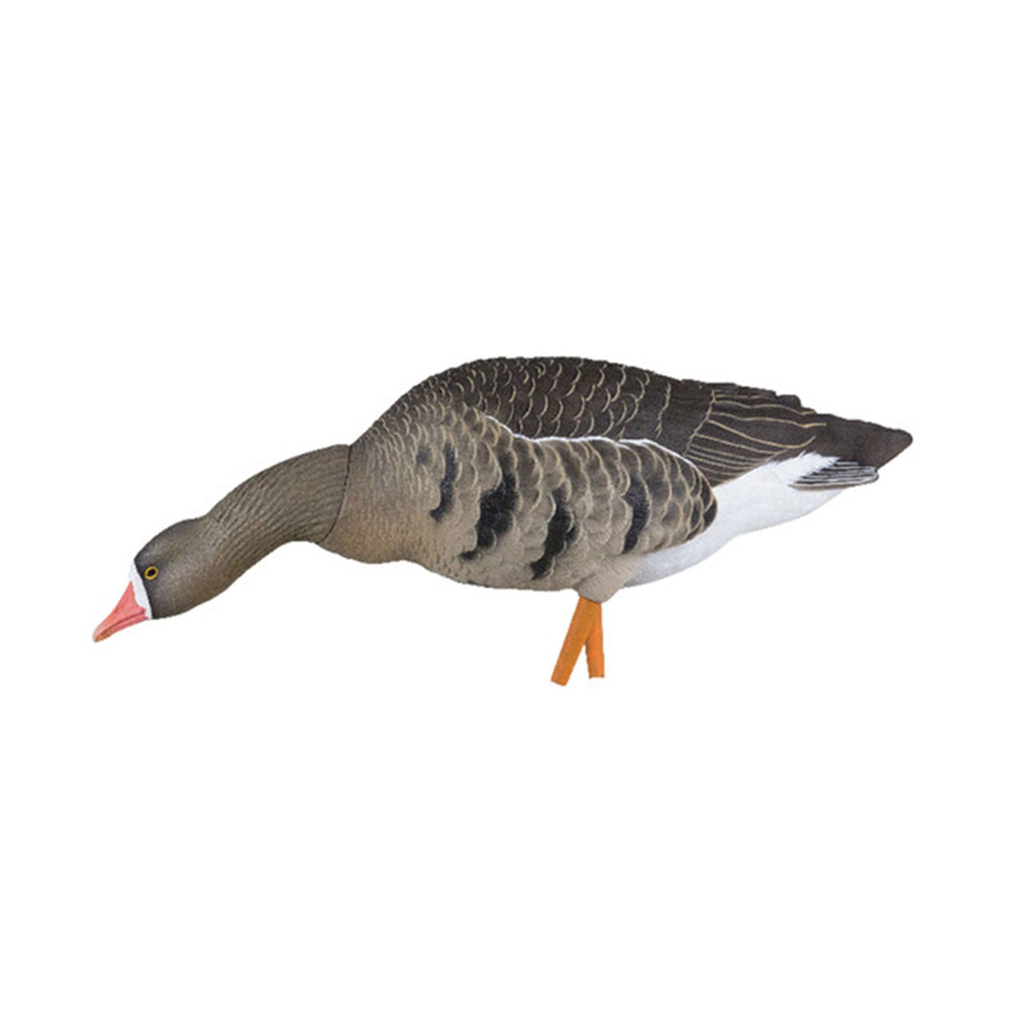 Avian X AXP Specklebelly Decoy Fusion Pack with Lasting Finish and Bag, 6 Pack - VMInnovations