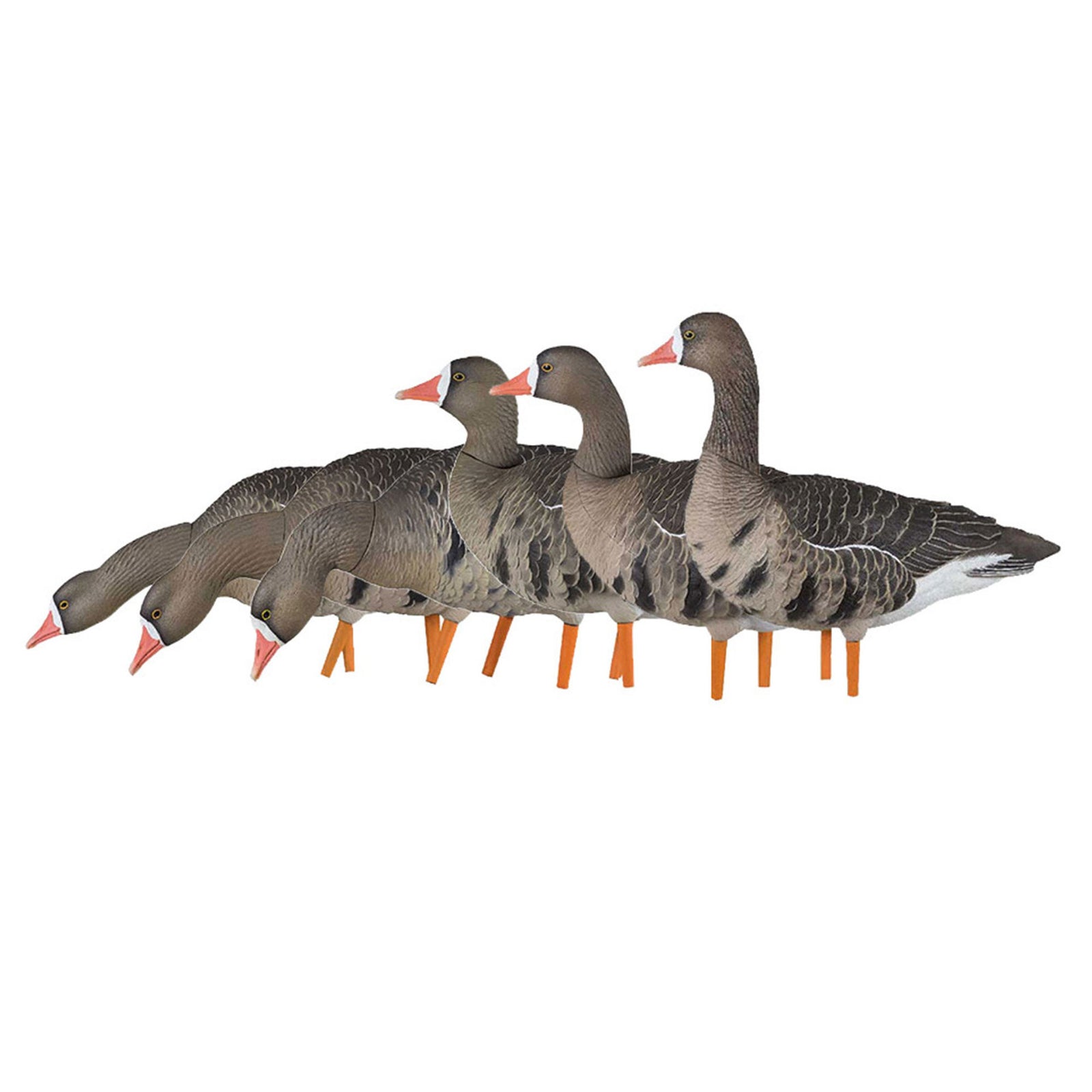 Avian X AVF Specklebelly Fusion Pack with Custom Fitted Bag for Hunting Use - VMInnovations