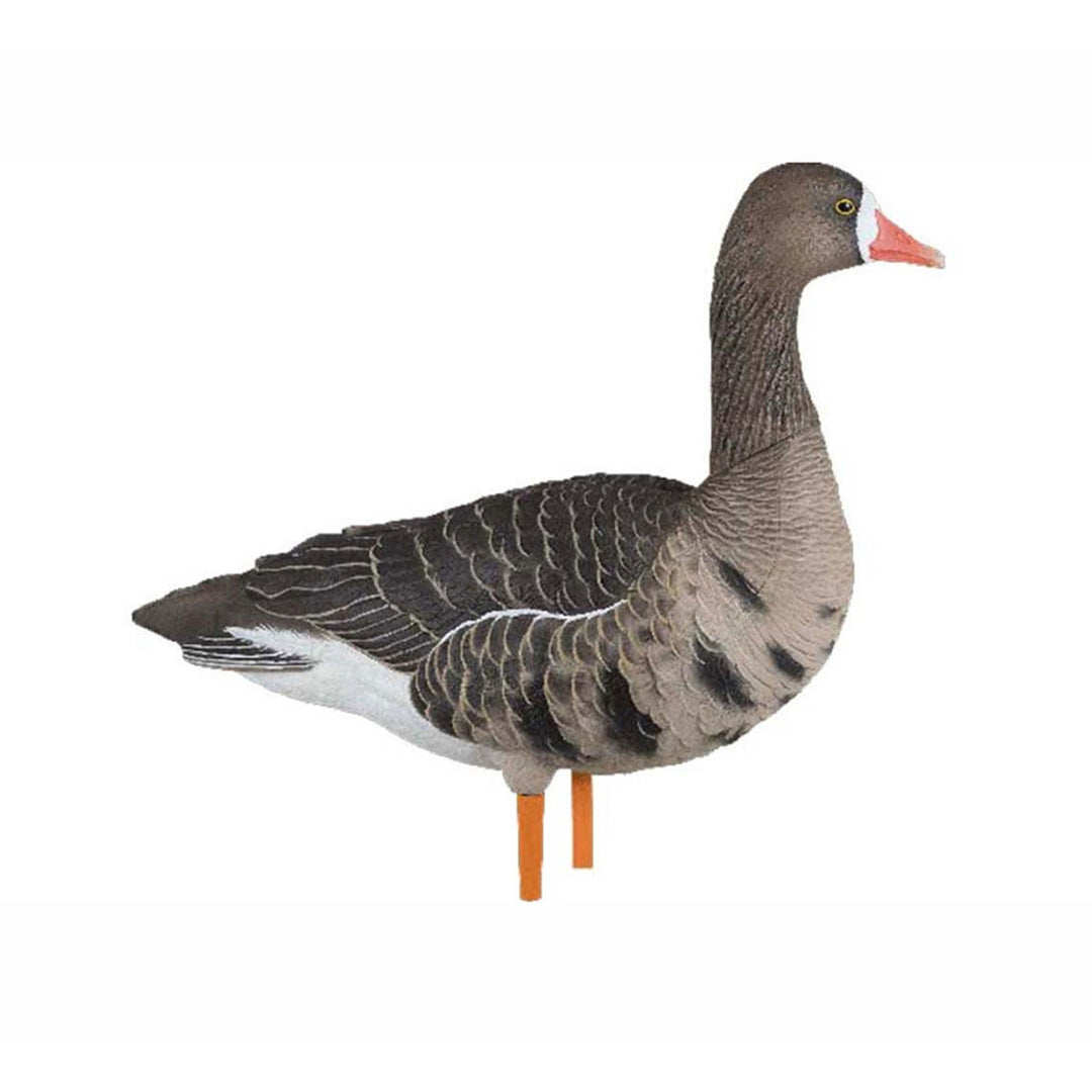 Avian X AVF Specklebelly Fusion Pack with Custom Fitted Bag for Hunting Use - VMInnovations