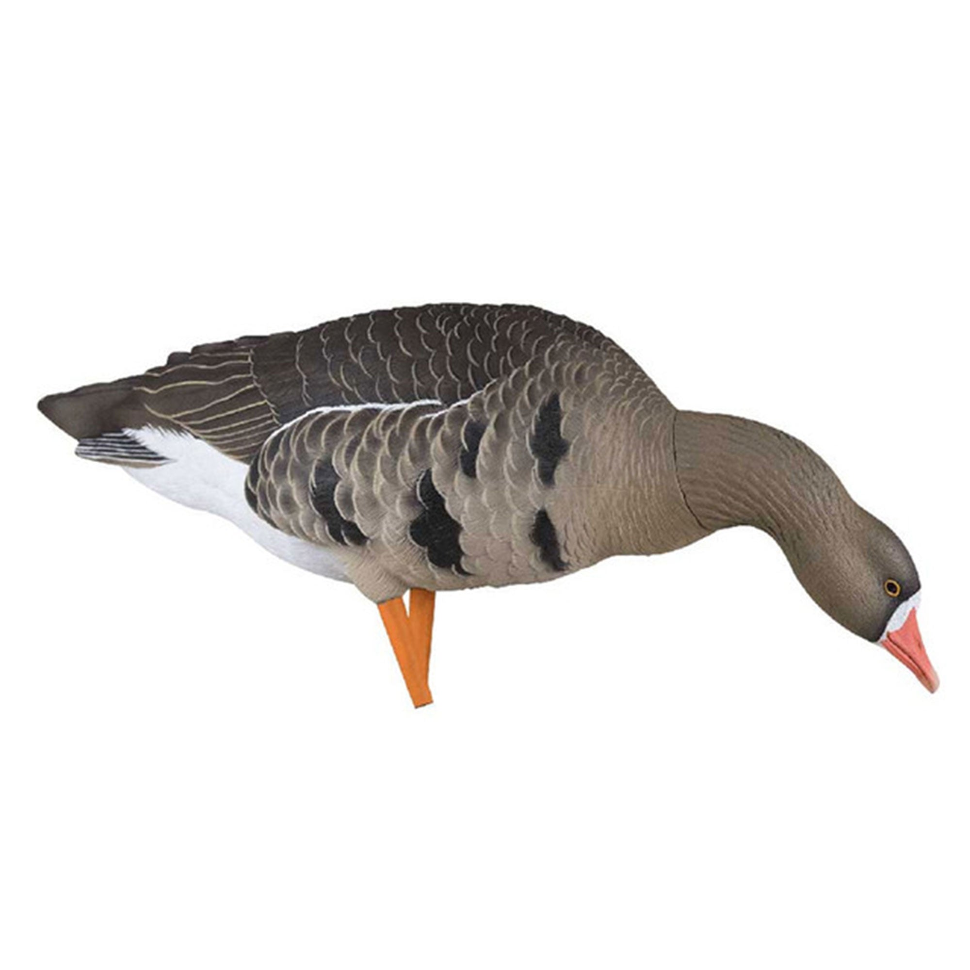 Avian X AVF Specklebelly Fusion Pack with Custom Fitted Bag for Hunting Use - VMInnovations
