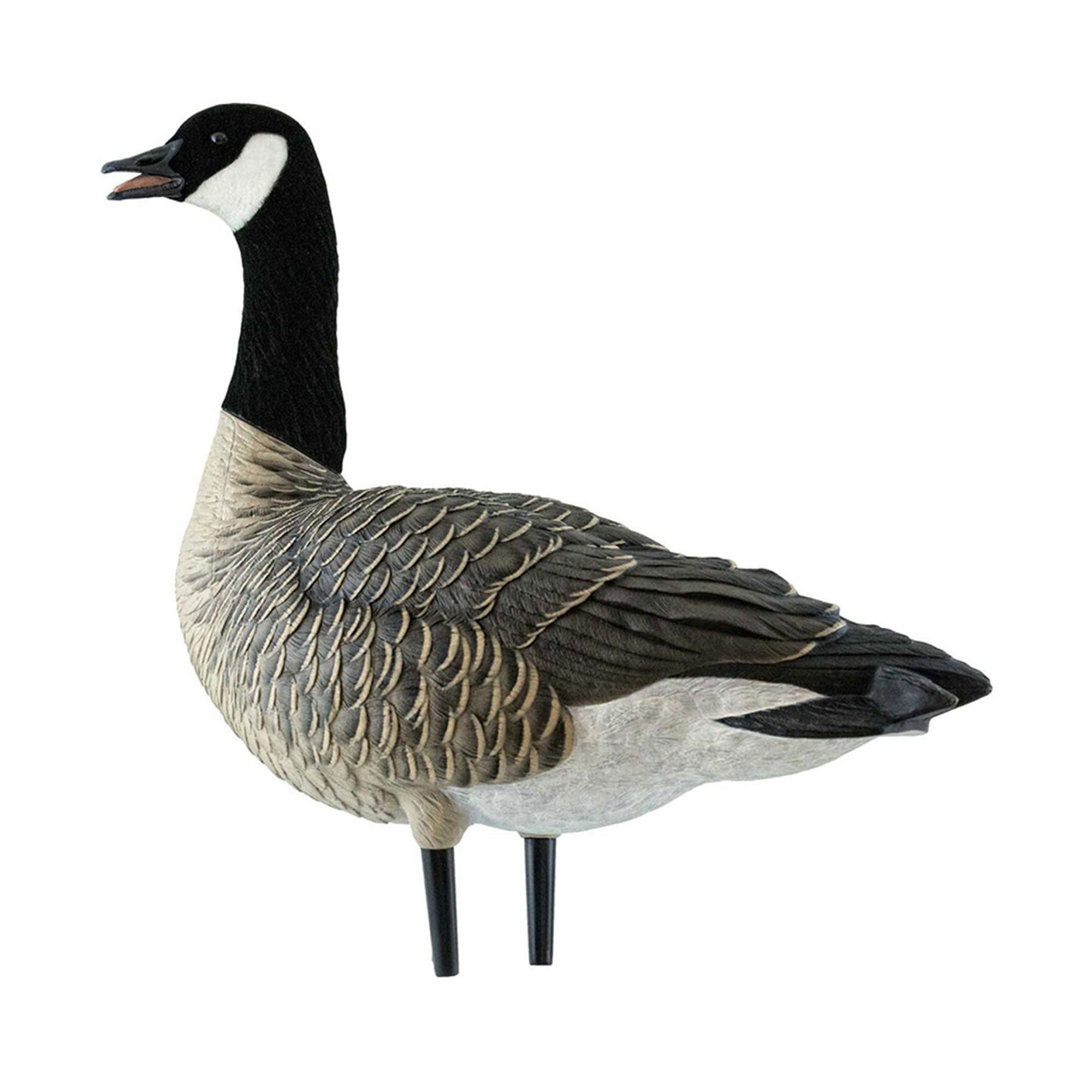 Avian X AXF Lessers Flocked Full Body Lifelike Goose Hunting Decoys, 12 Pack