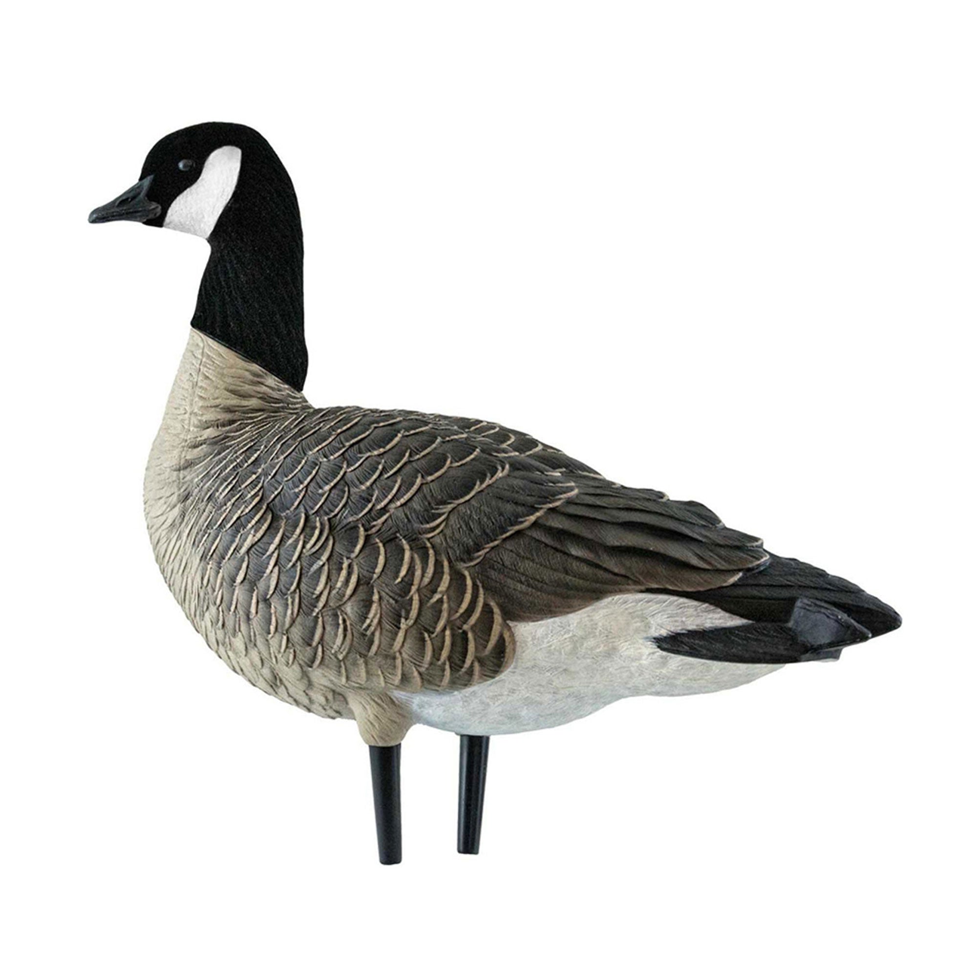 Avian X AXF Lessers Flocked Full Body Lifelike Goose Hunting Decoys, 12 Pack